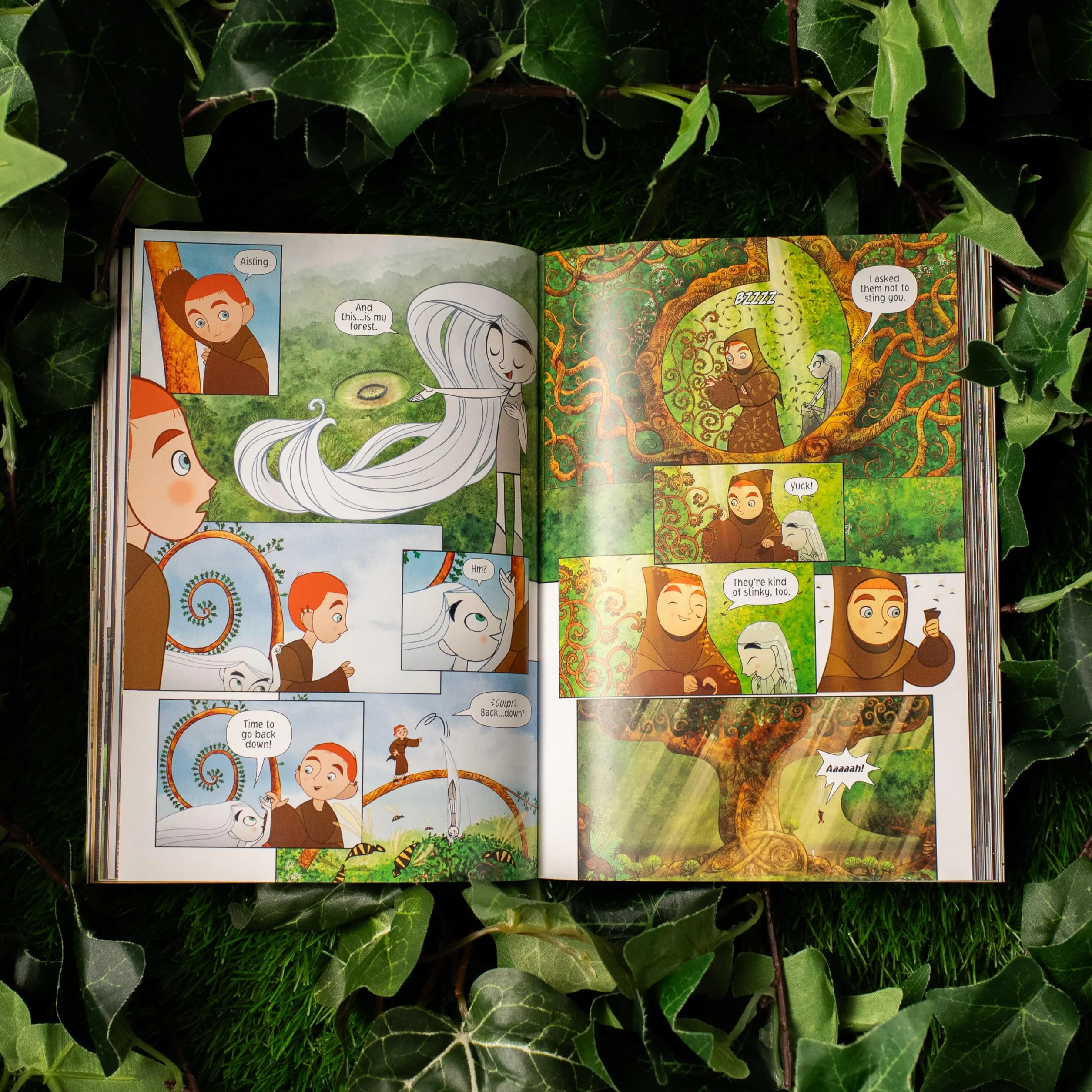 The Secret of Kells: The Graphic Novel