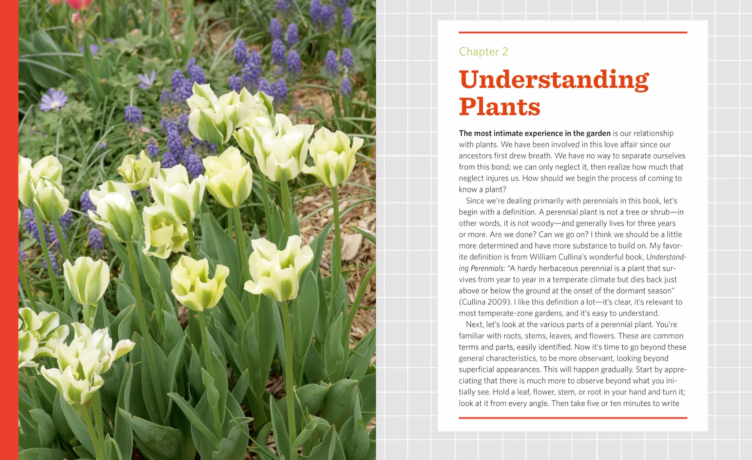 The Know Maintenance Perennial Garden