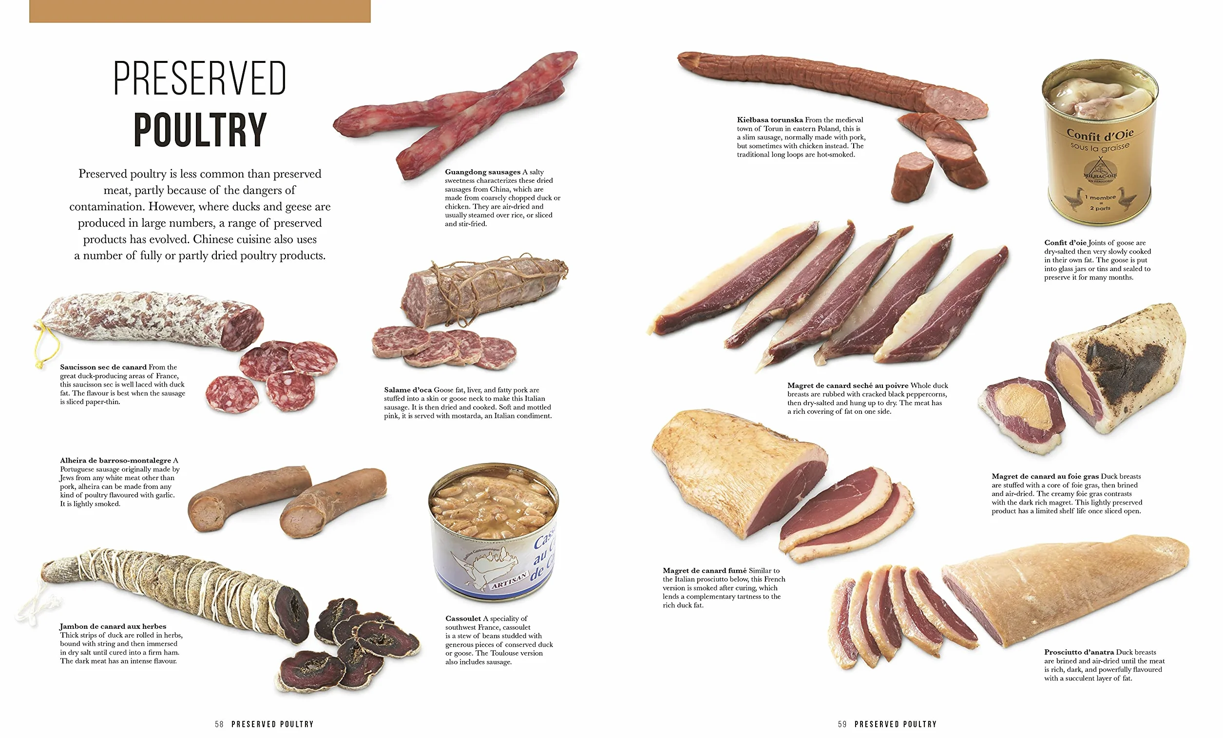 The Meat Cookbook: Know the Cuts, Master the Skills, over 250 Recipes