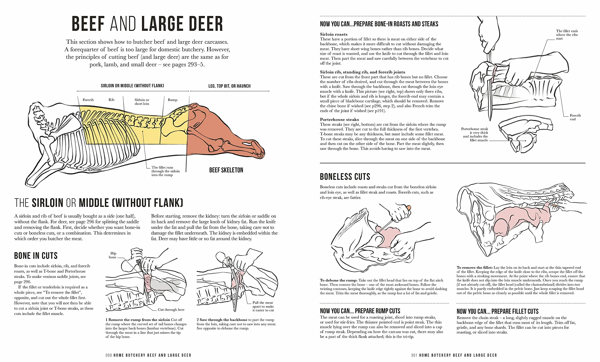 The Meat Cookbook: Know the Cuts, Master the Skills, over 250 Recipes