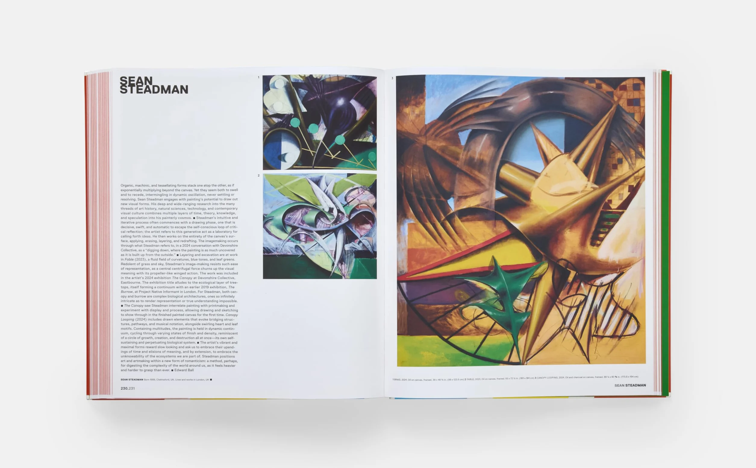Vitamin P4: New perspectives in painting