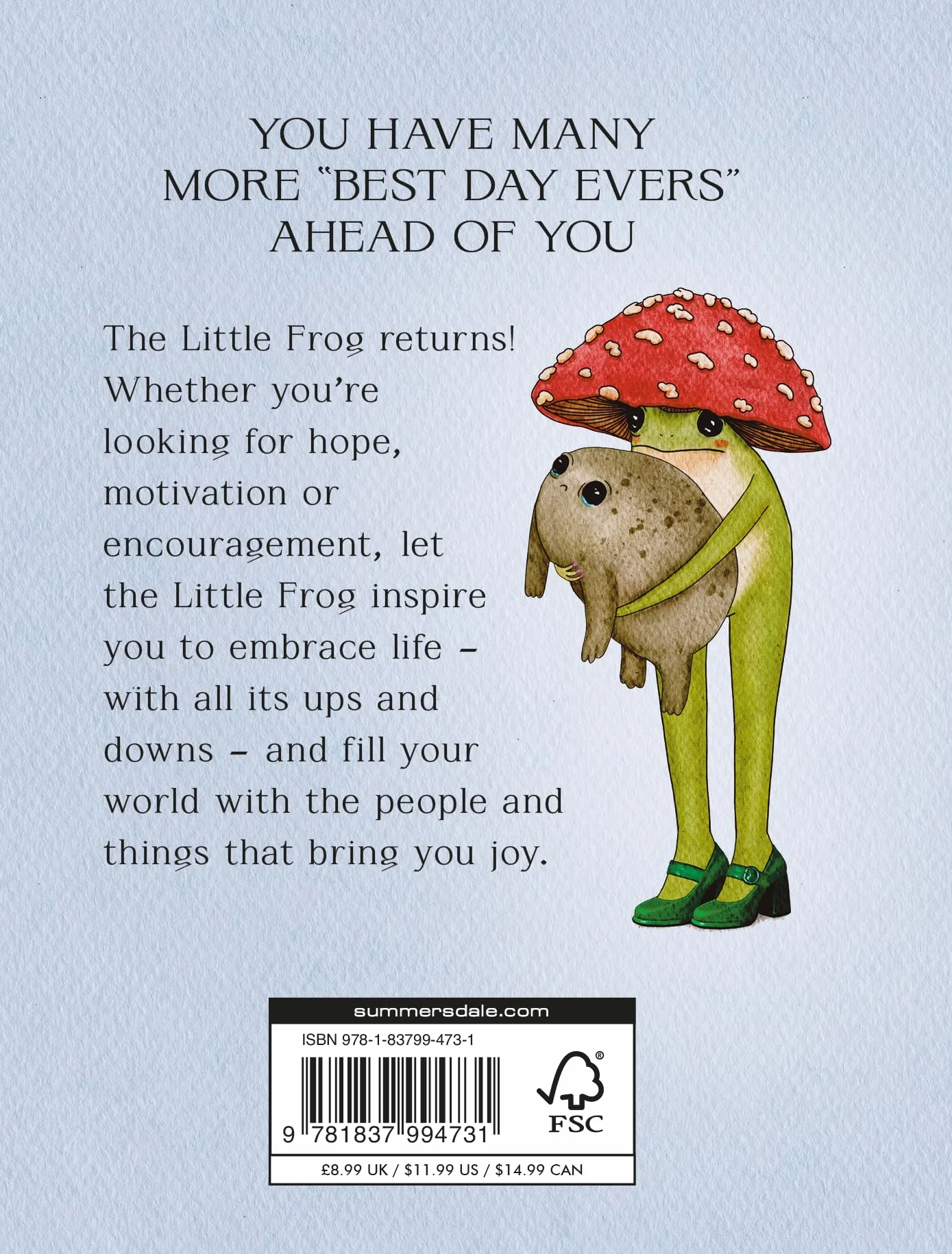 The Little Frog's Guide to Life: Love, Advice and Inspiration for Every Day from the Internet's Beloved Mushroom Frog