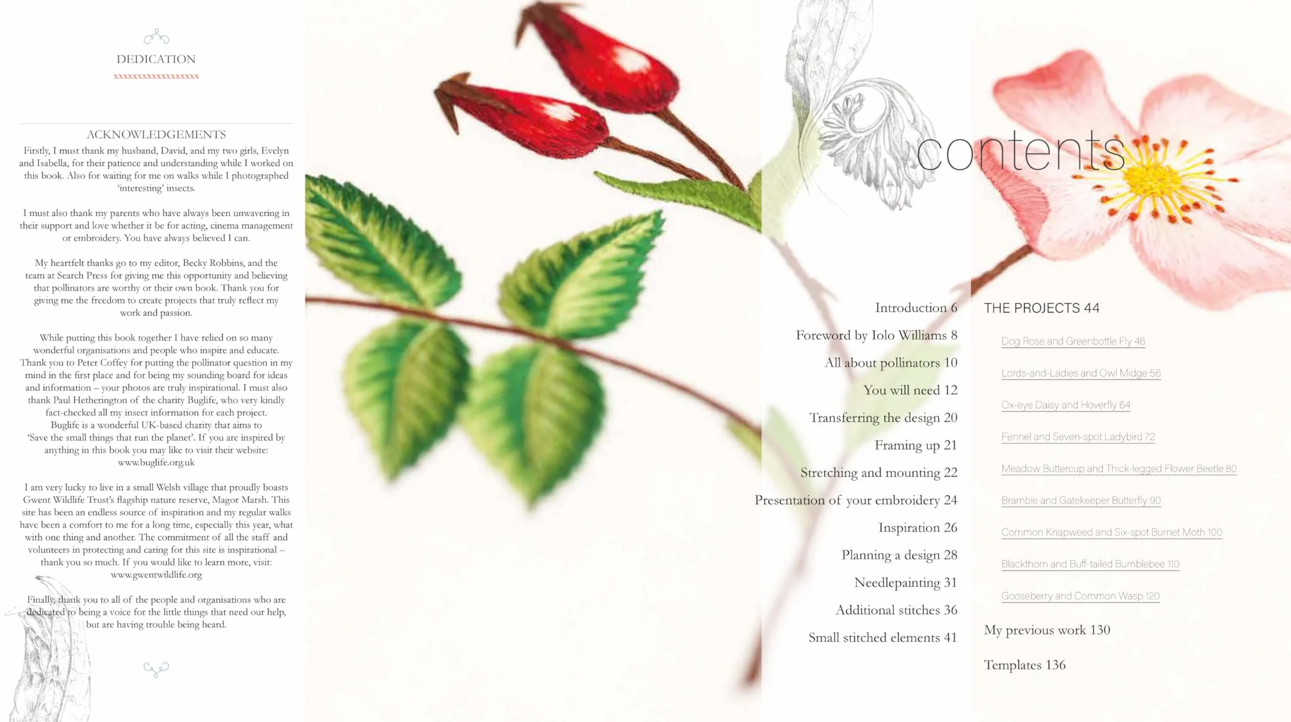 Needlepainted Plants and Pollinators: An Insect Lover's Guide to Silk Shading Embroidery