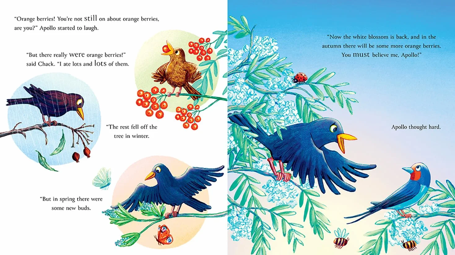 Follow the Swallow: A brilliantly funny illustrated children’s picture book about friendship from the author of The Gruffalo, perfect for ages 3 to 7