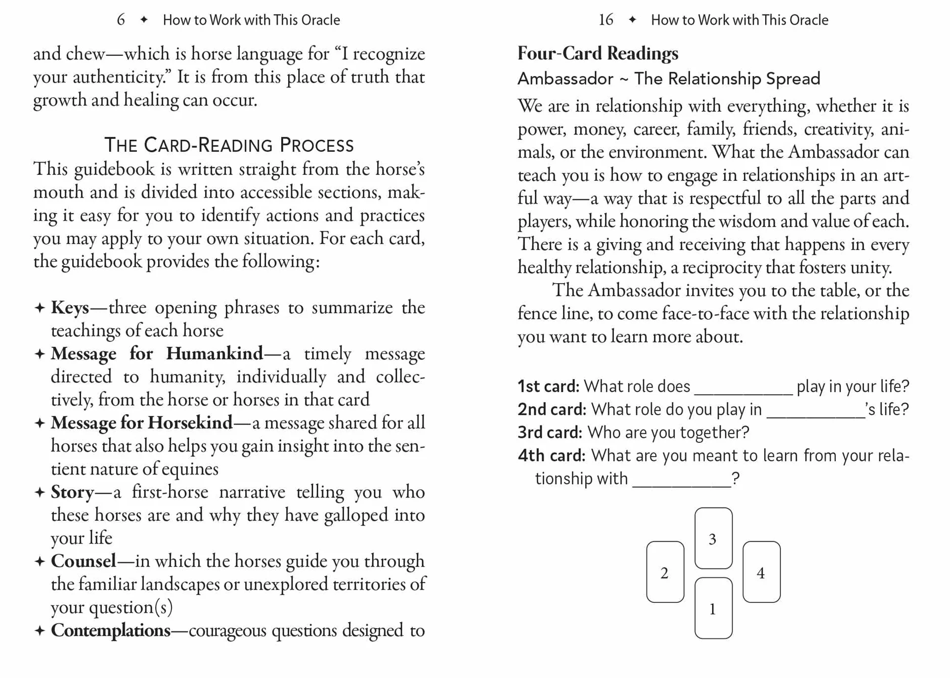 The Council of Horses Oracle: A 40-Card Deck and Guidebook