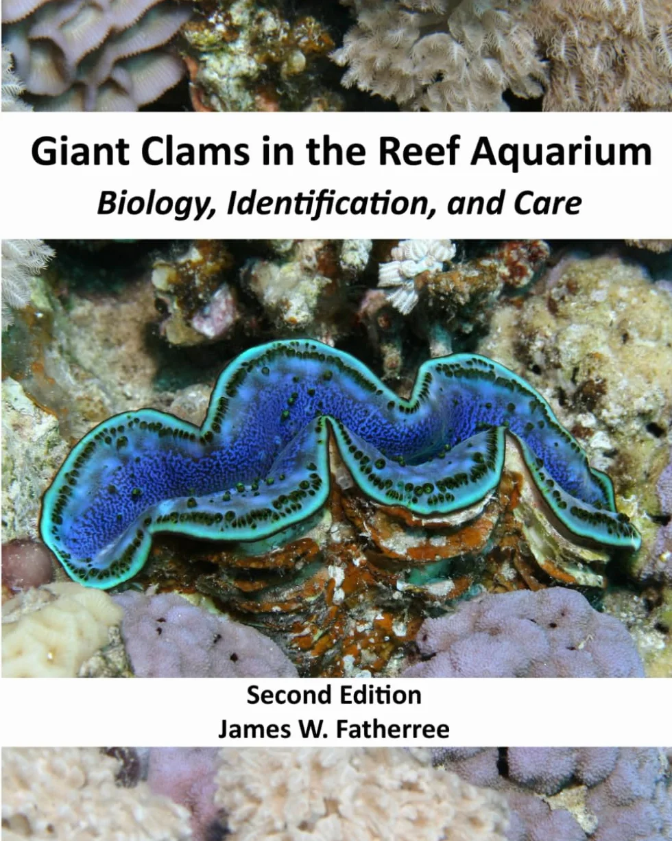 Giant Clams in the Reef Aquarium: Biology, Identification, and Care