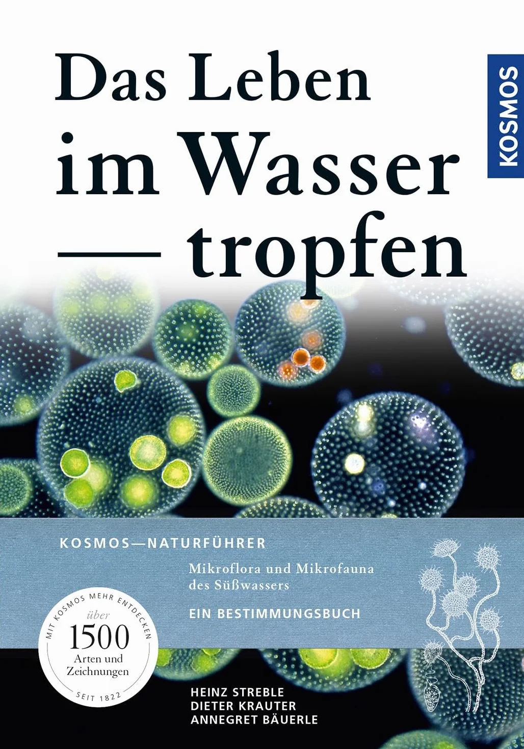 Das Leben im Wassertropfen