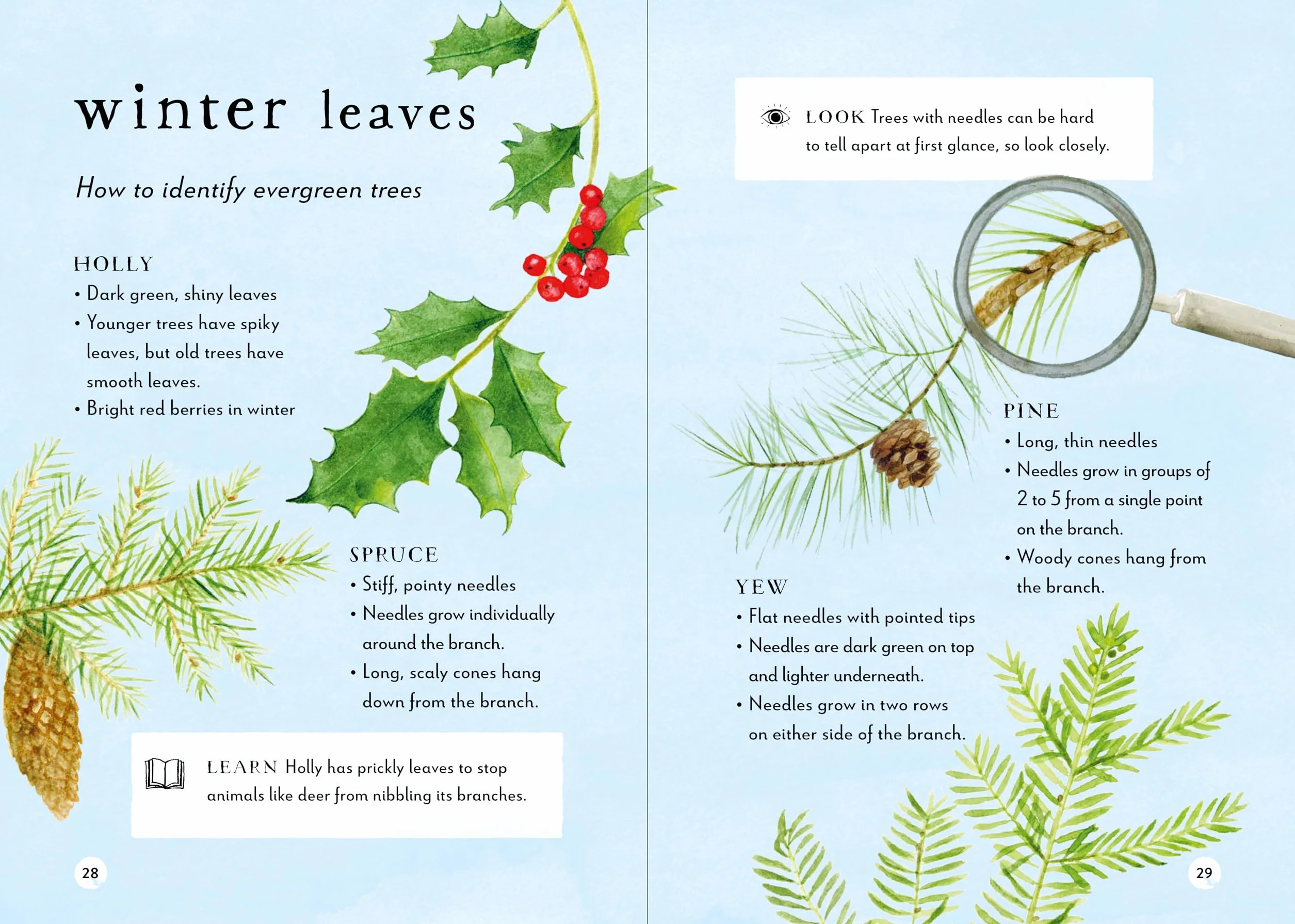 A Field Guide to Winter: Play and learn in nature /anglais: 4