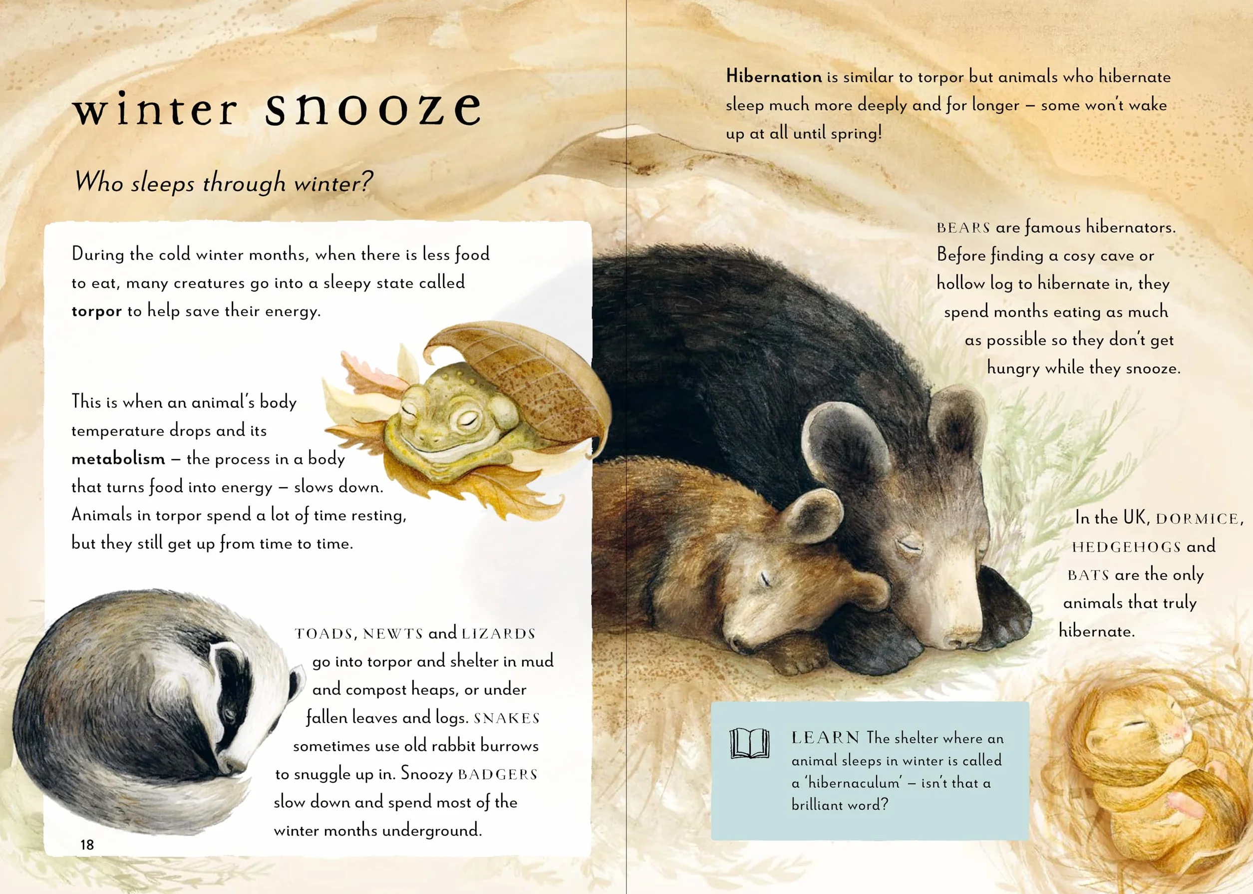 A Field Guide to Winter: Play and learn in nature /anglais: 4