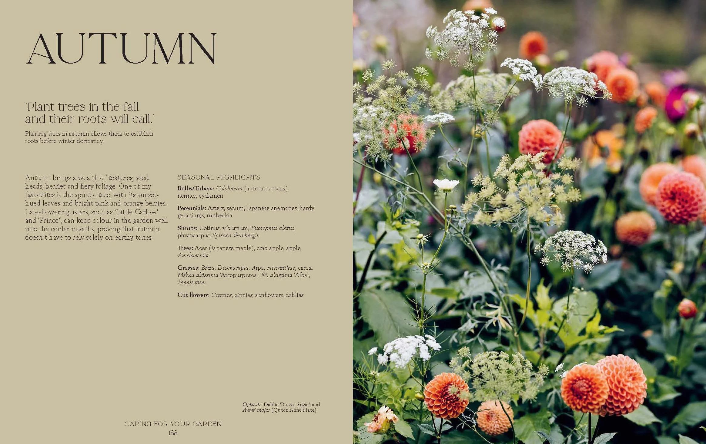 How Does Your Garden Grow?: The Elements of Planning, Growing & Caring for a Garden