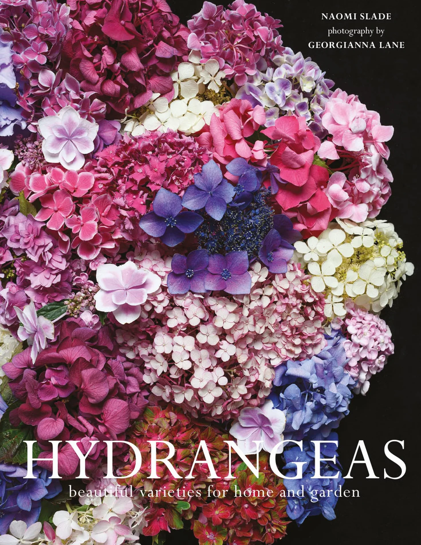 Hydrangeas: The ultimate flower guide for growing, flowering and cutting varieties for the home and gardening