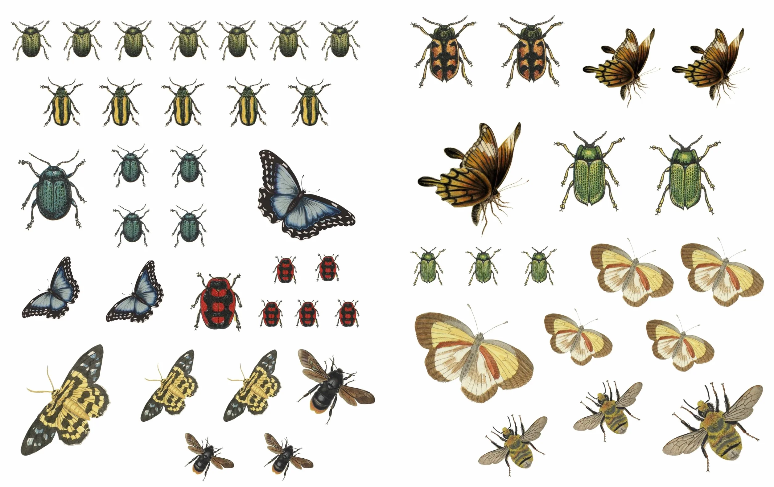 RHS Collage the Botanical World /anglais: 1,000+ Fantastic & Floral Images to Cut Out & Collage