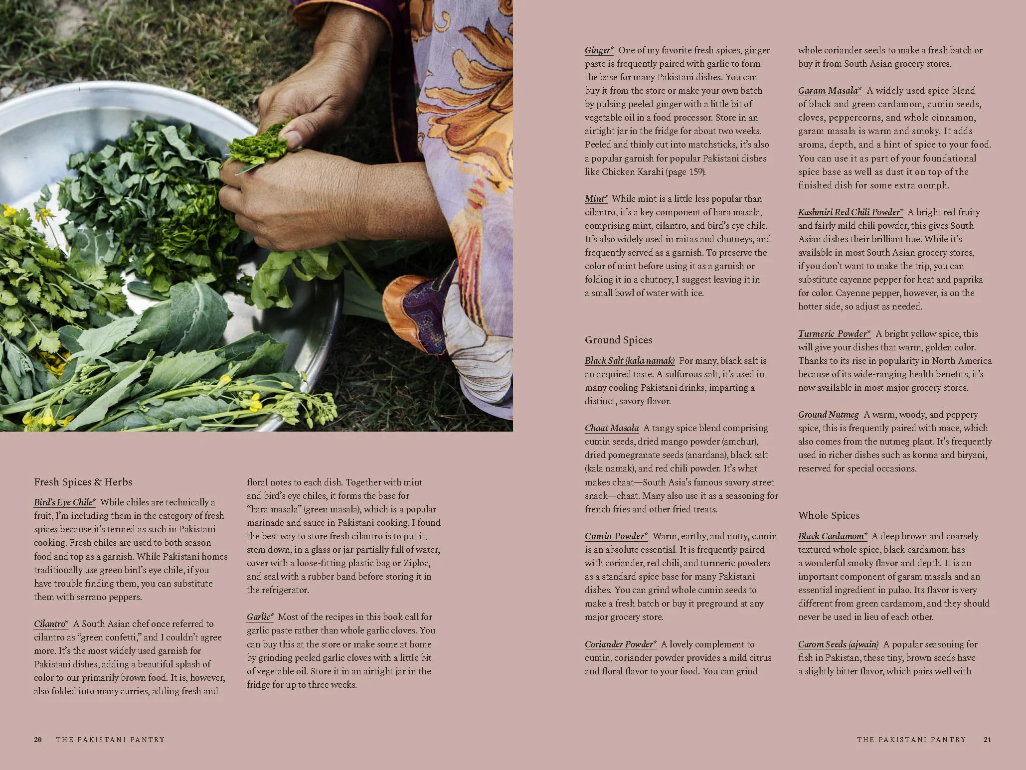 Pakistan: Recipes and Stories from Home Kitchens, Restaurants, and Roadside Stands