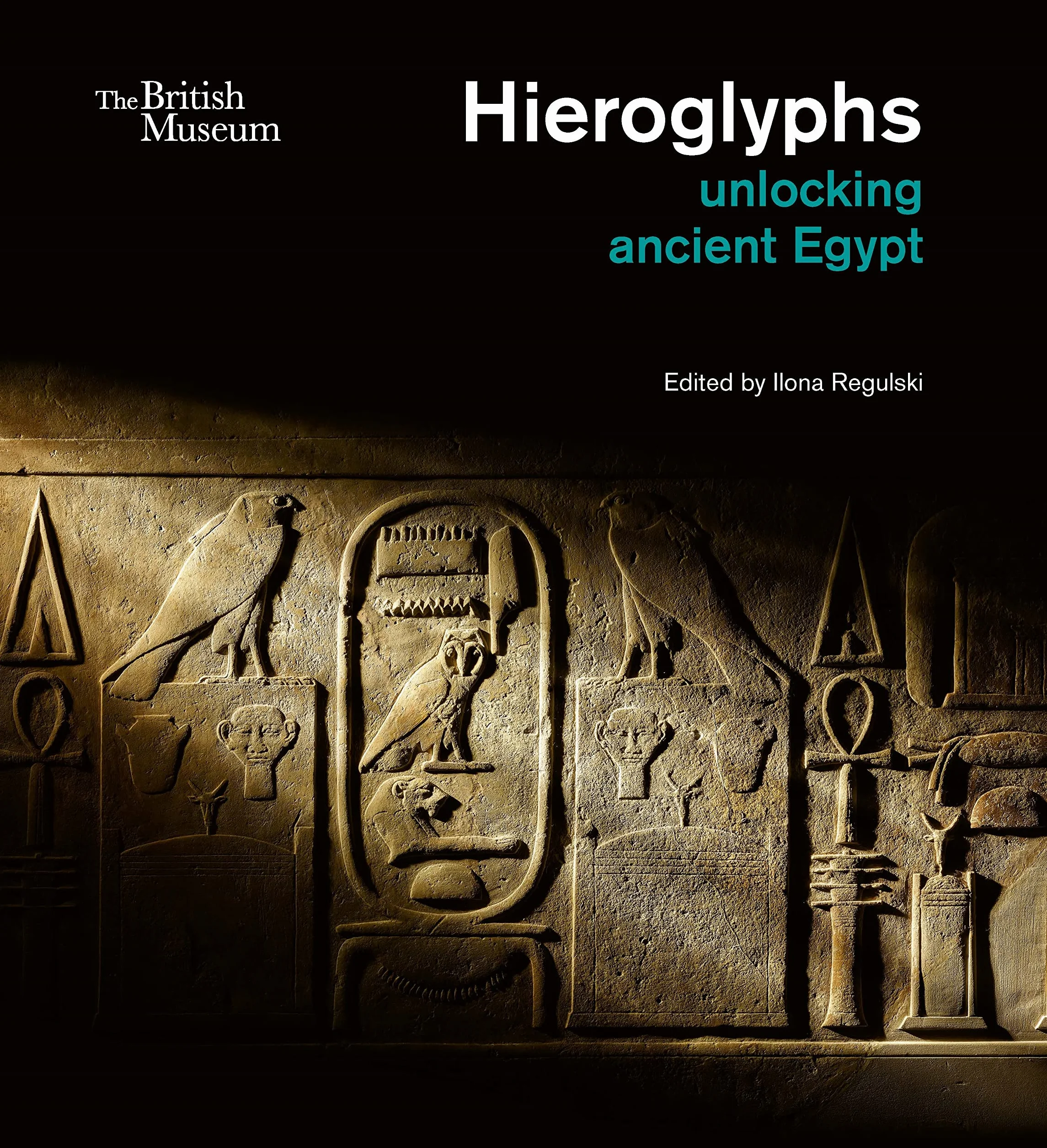 Hieroglyphs unlocking ancient Egypt /anglais