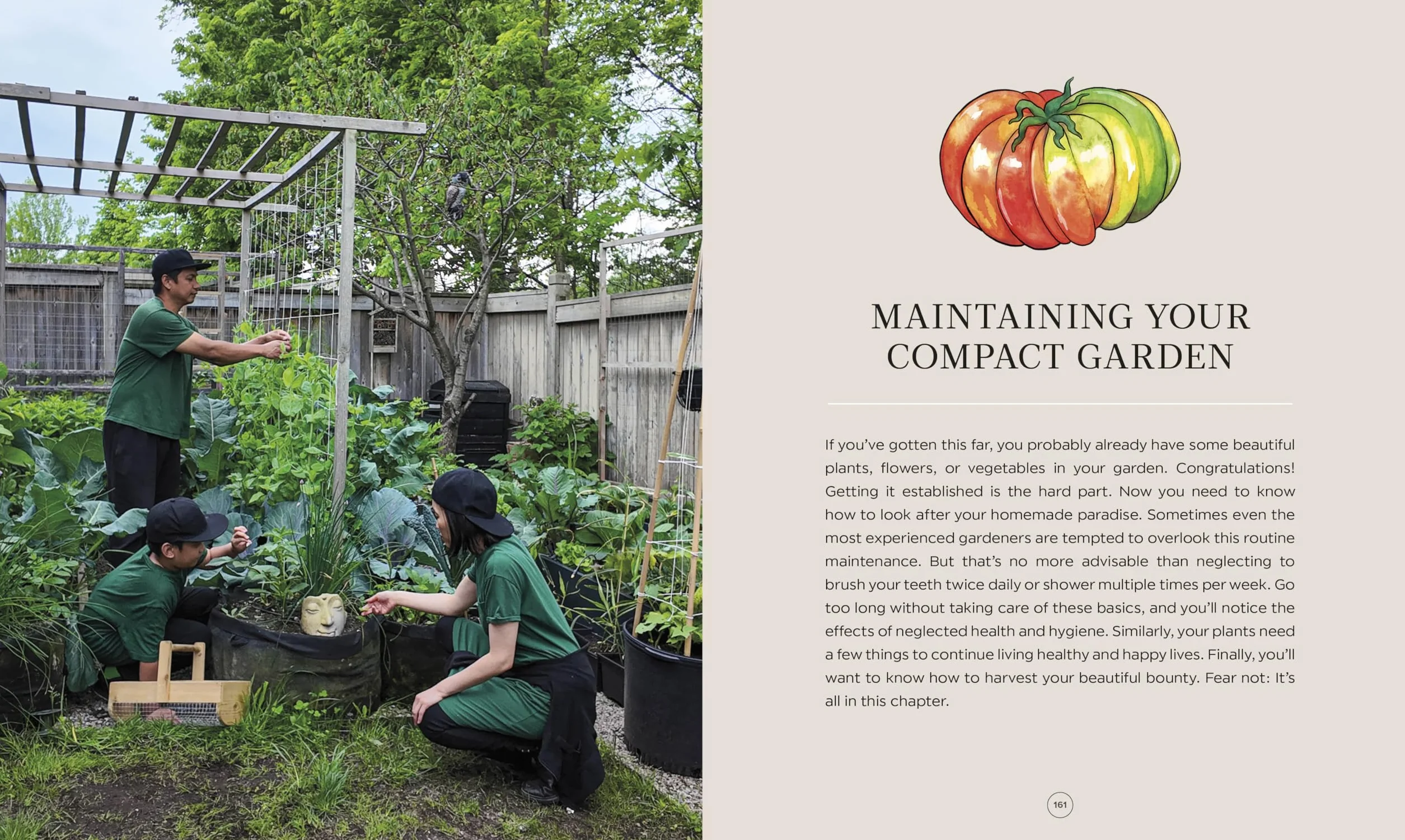The Compact Garden: A Beginner's Guide to Growing Vegetables in Small Spaces
