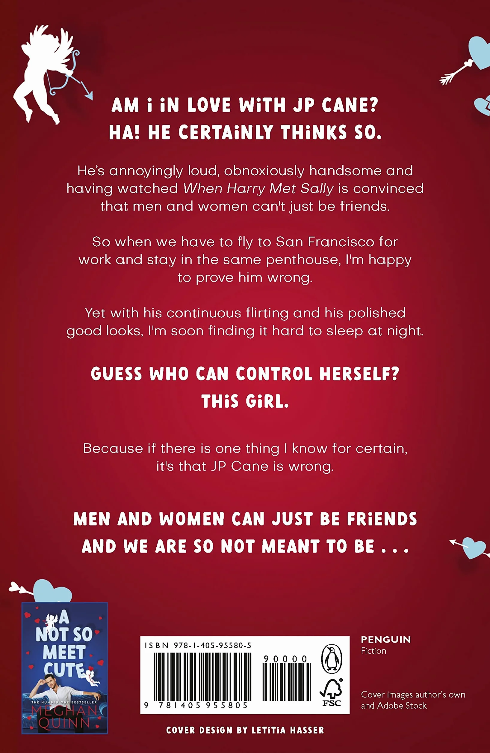 So Not Meant To Be: The steamy and hilarious romcom inspired by When Harry Met Sally from the bestselling author