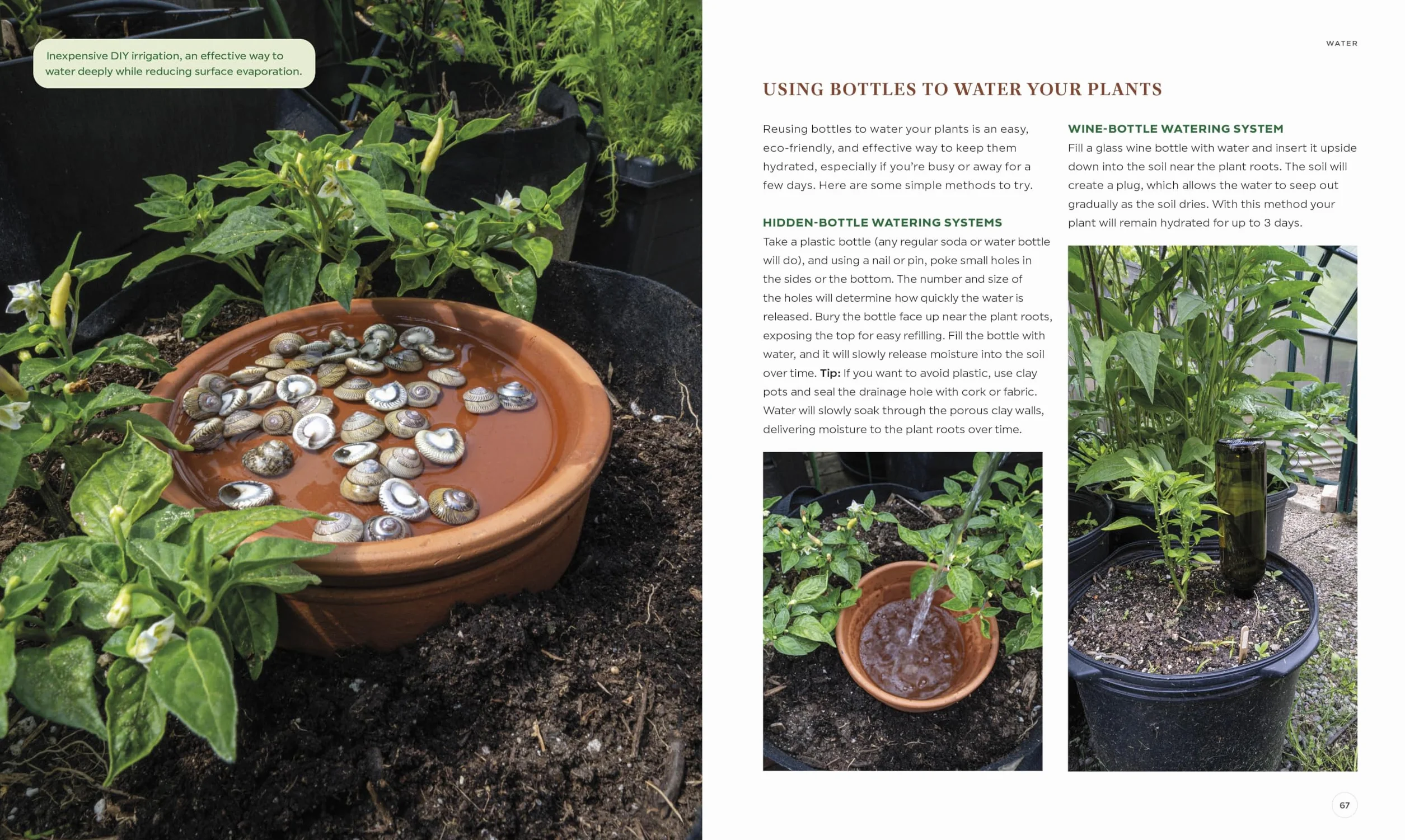 The Compact Garden: A Beginner's Guide to Growing Vegetables in Small Spaces