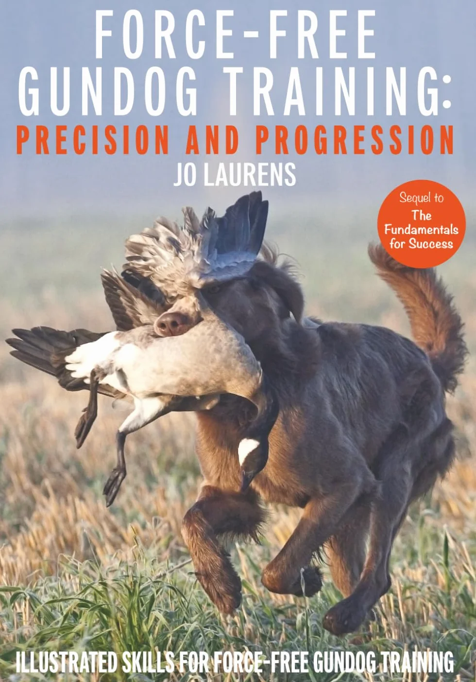 Force-Free Gundog Training: Precision and Progression