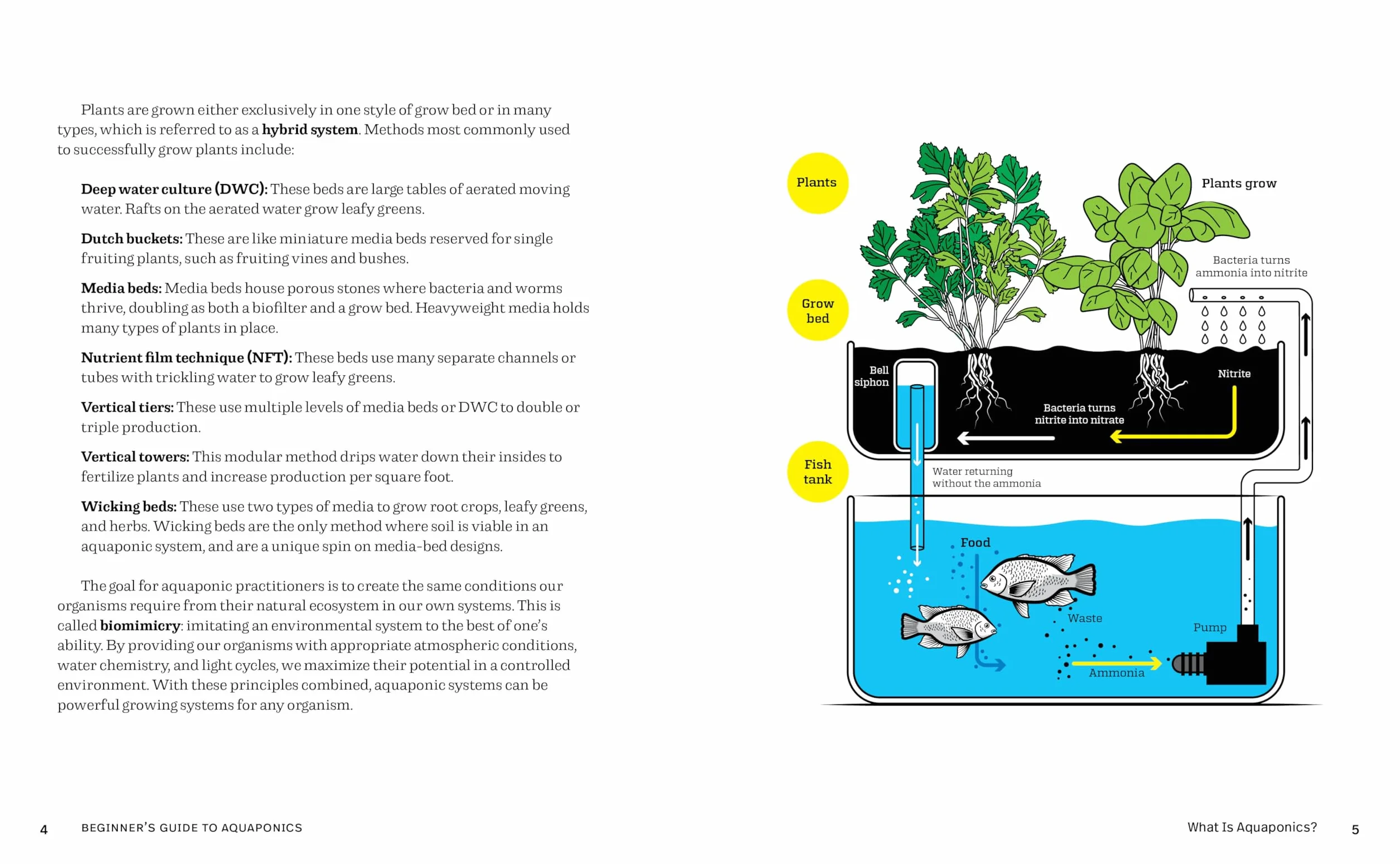 Beginner's Guide to Aquaponics: Step-By-Step Systems for Plants and Fish