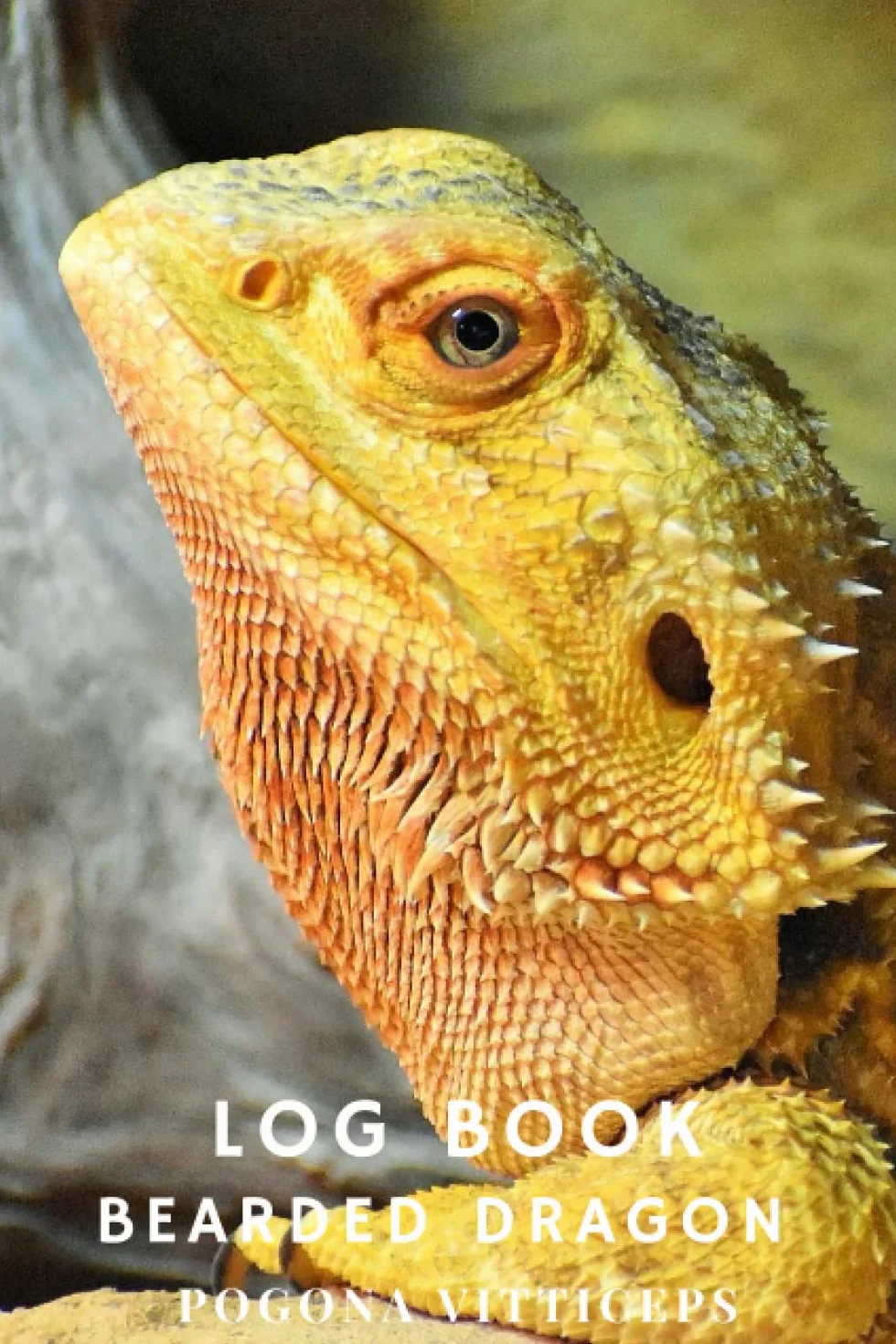 Log Book - Bearded Dragon (POGONA vitticeps)