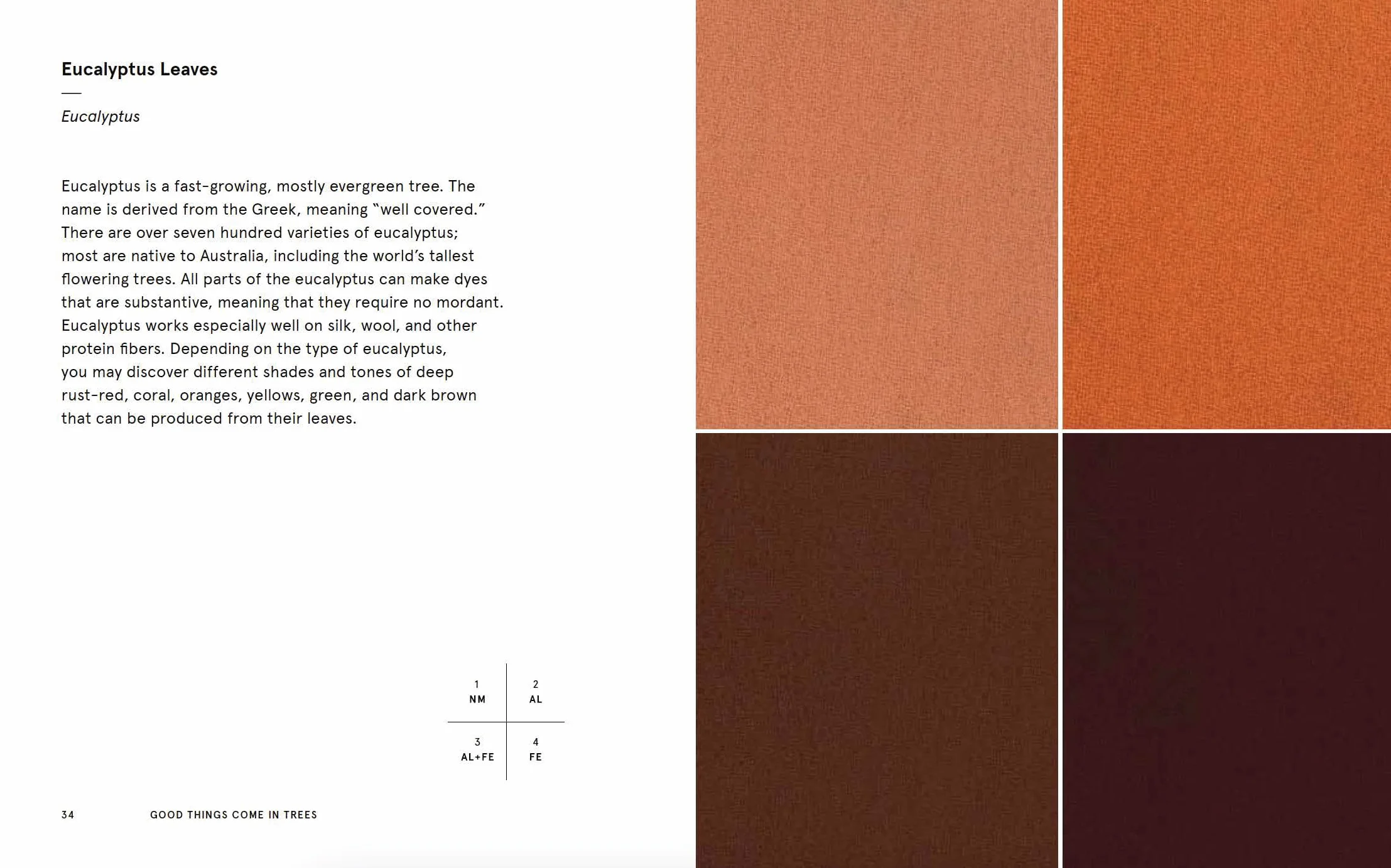 Natural Palettes: Inspiration from Plant-Based Color