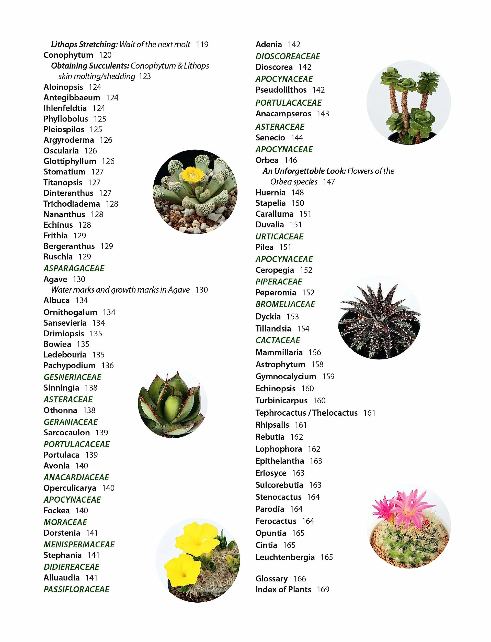 Growing Succulents: A Pictorial Guide (Over 1,500 Photos and 700 Plants)