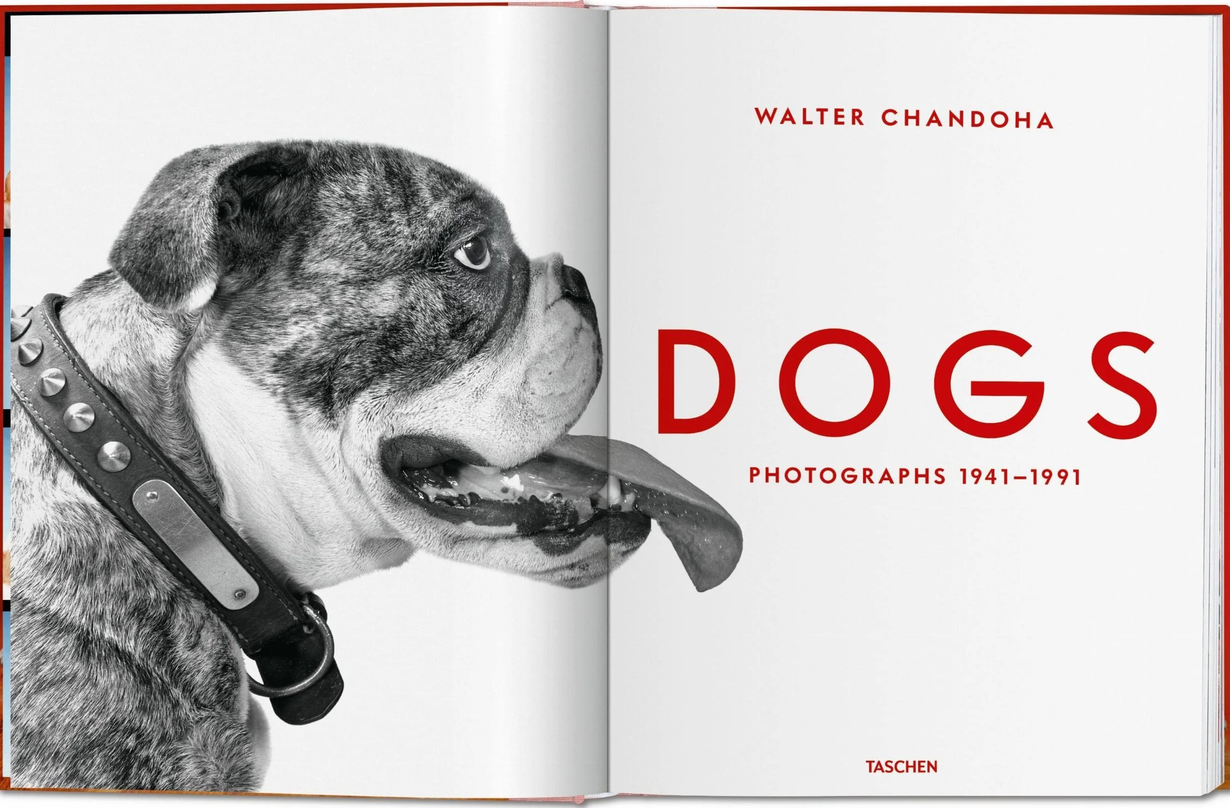 Dogs Photographs 1941–1991
