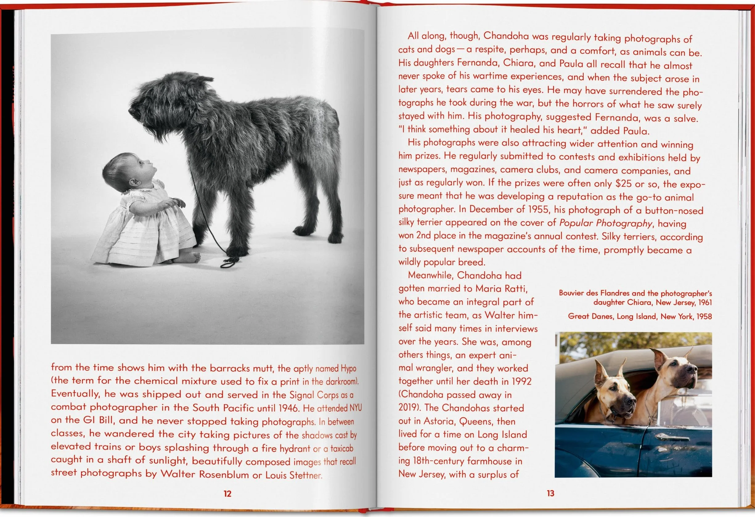 Walter Chandoha. Dogs. Photographs 1941-1991