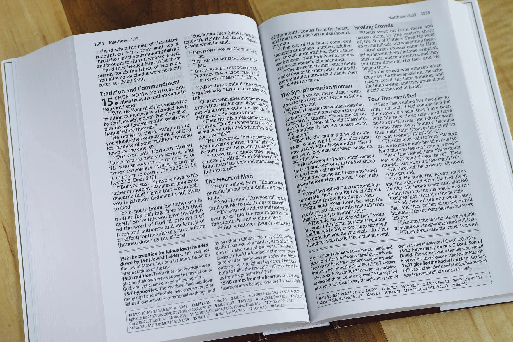 Amplified Study Bible, Hardcover