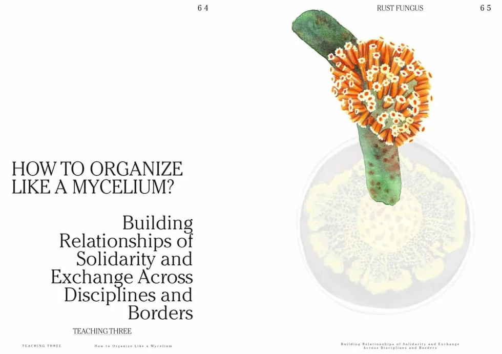 Let's Become Fungal!: Mycelium Teachings and the Arts: Based on Conversations with Indigenous Wisdom Keepers, Artists, Curators, Feminists and Mycologists