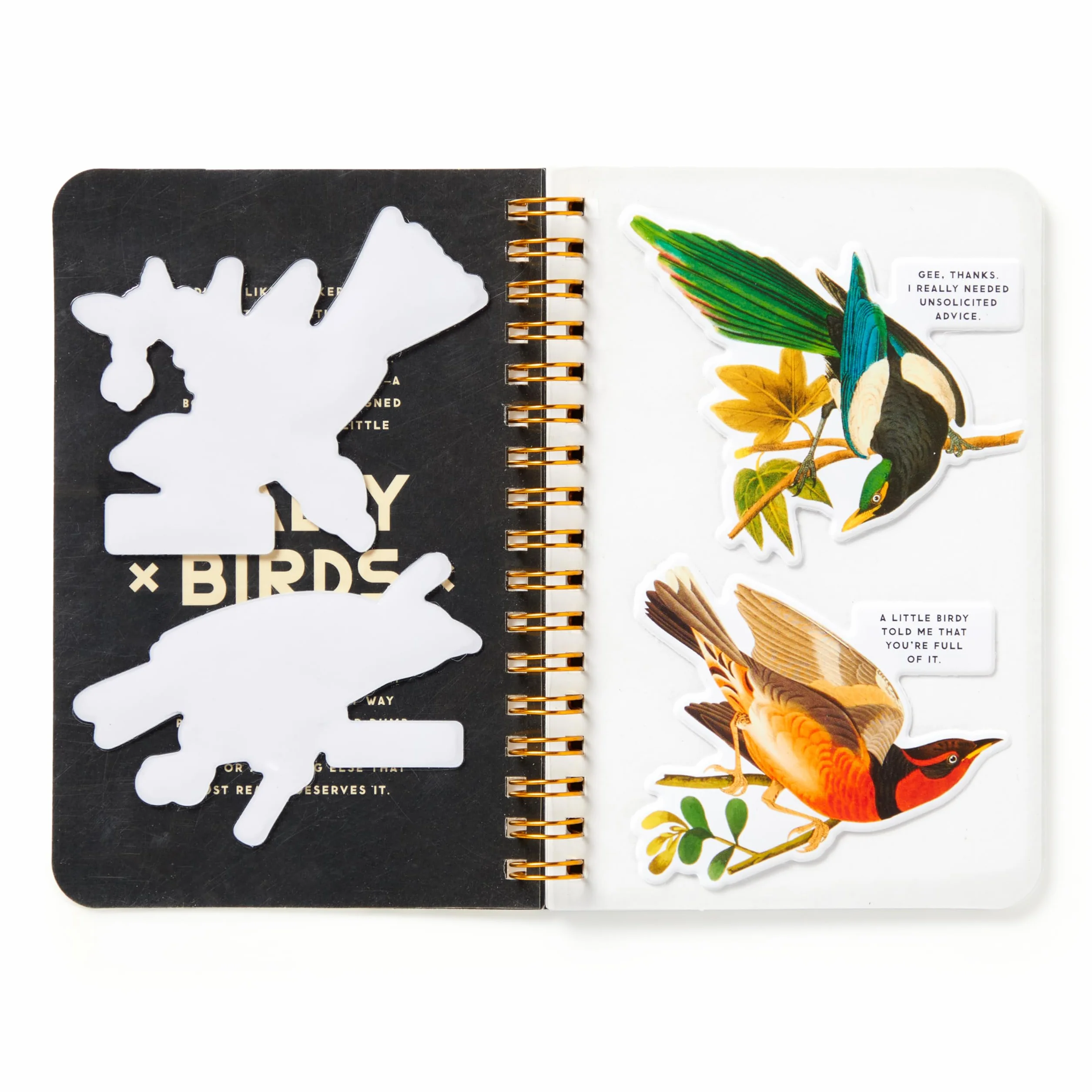 Salty Birds Sticker Book