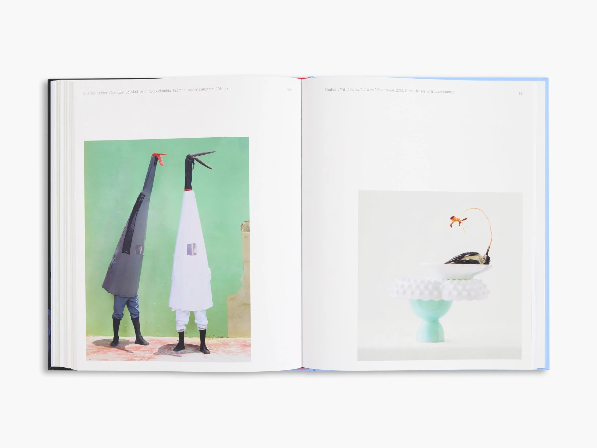 Aviary The Bird in Contemporary Photography /anglais