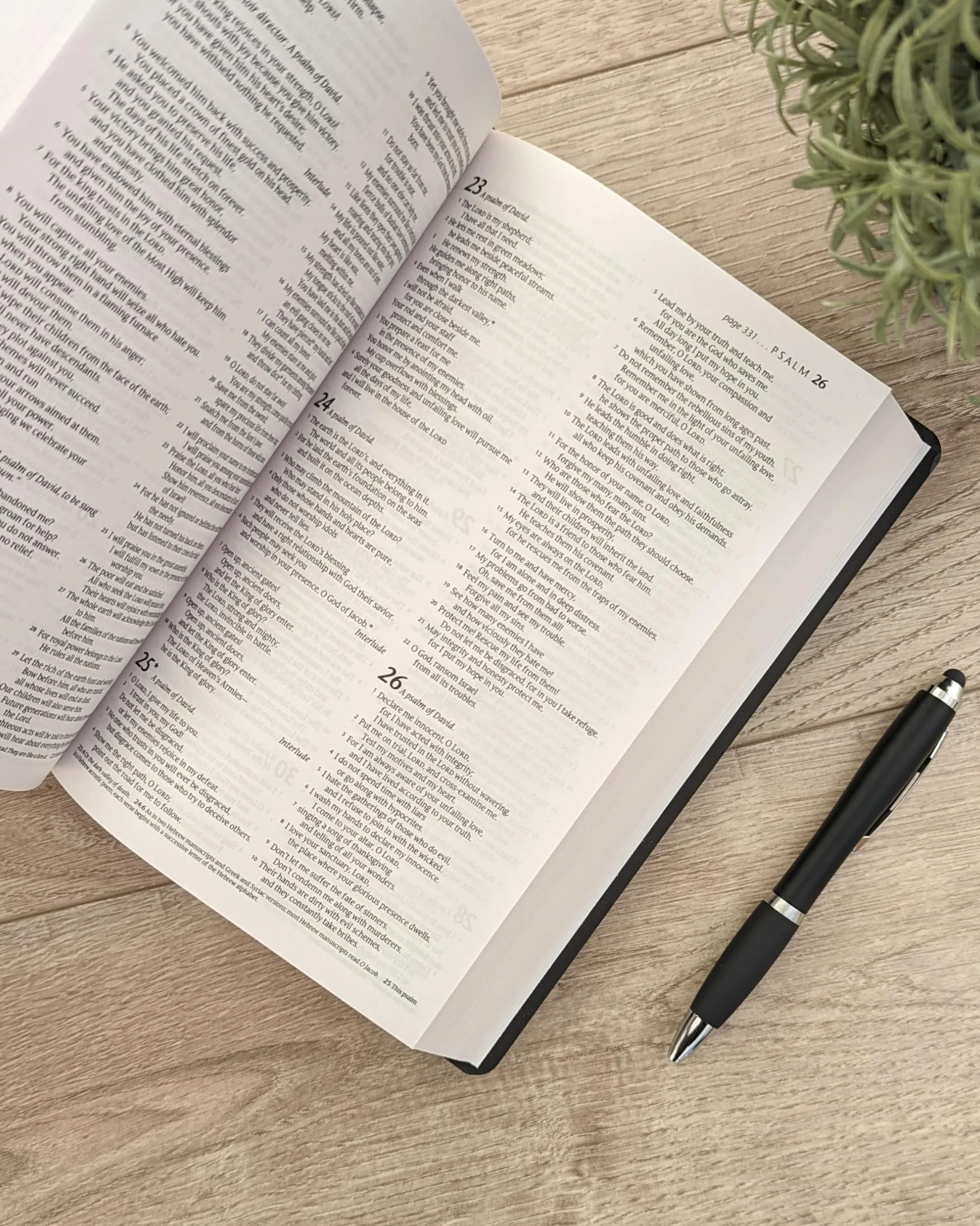 Holy Bible : New Living Translation
