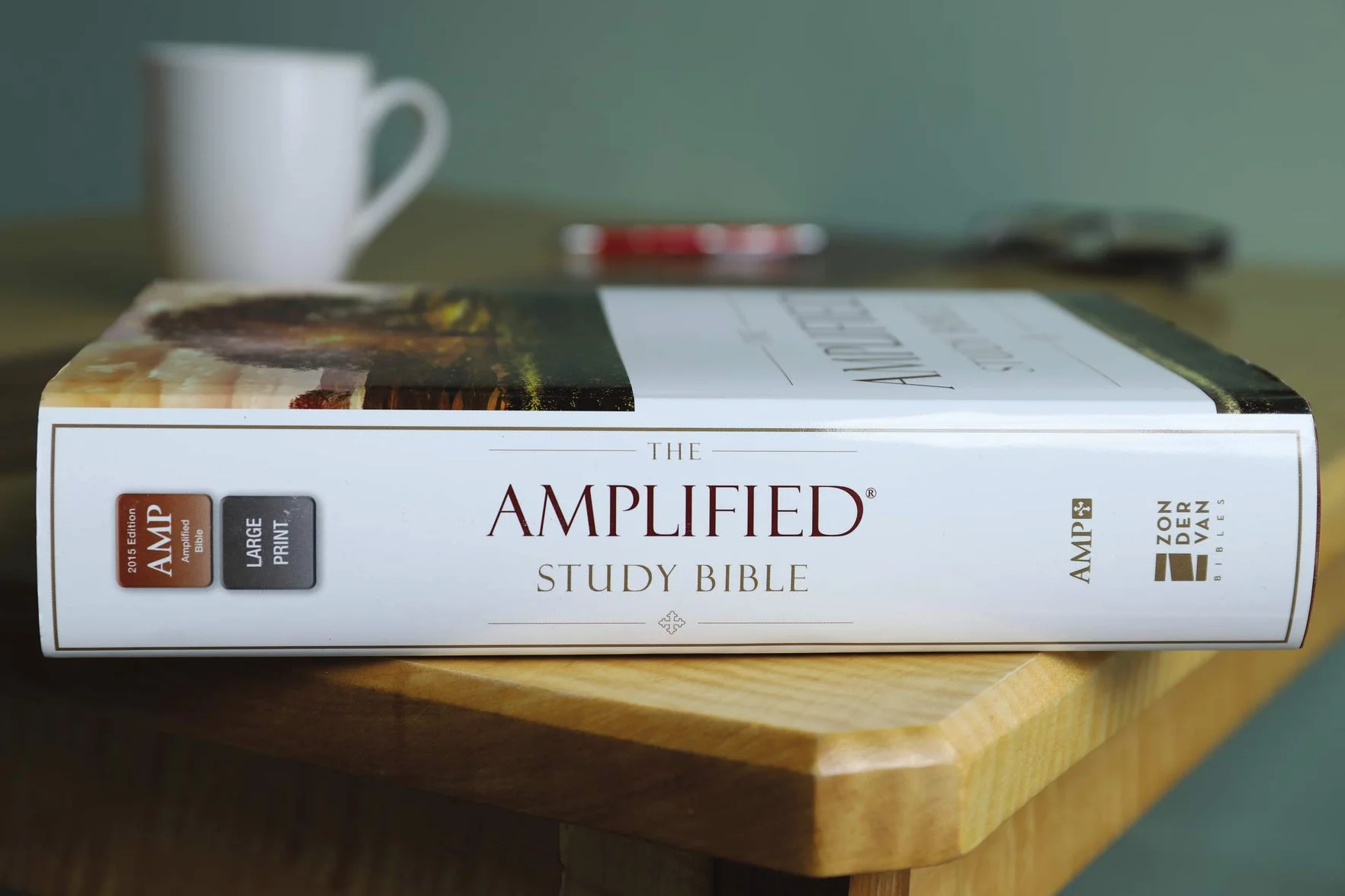 Amplified Study Bible, Hardcover