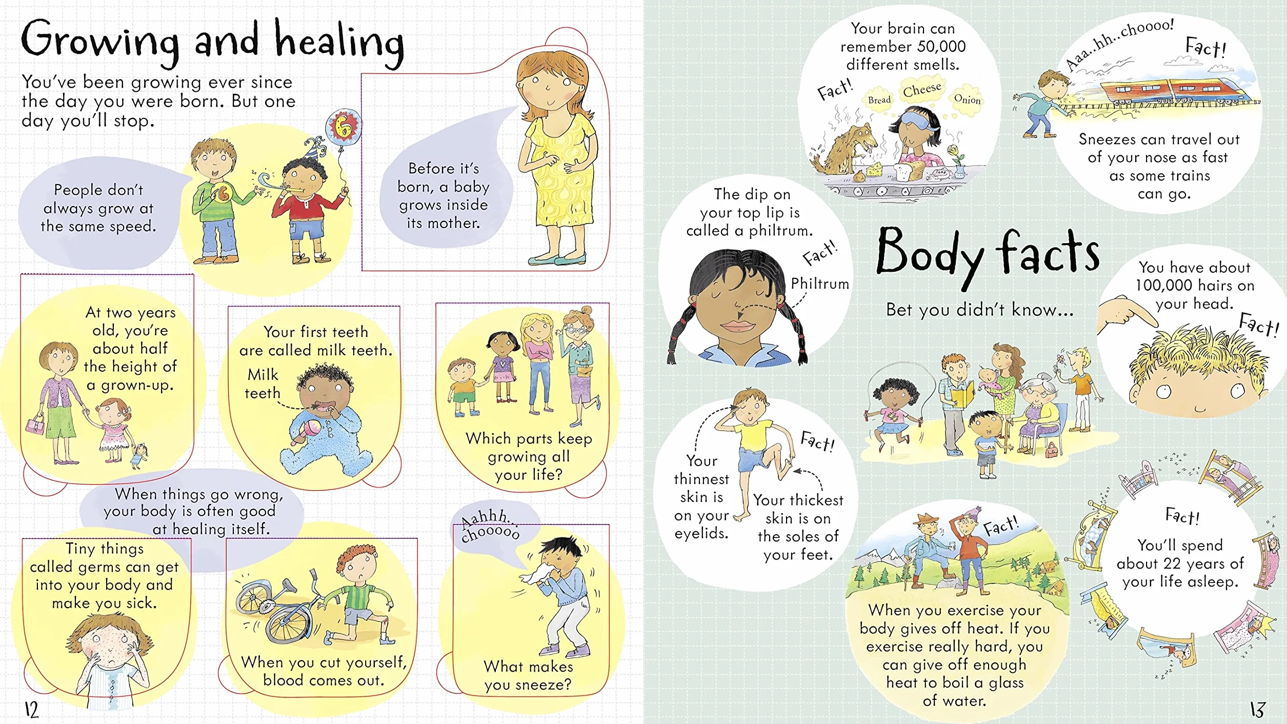 Look Inside Your Body (Look Inside Board Books): 1