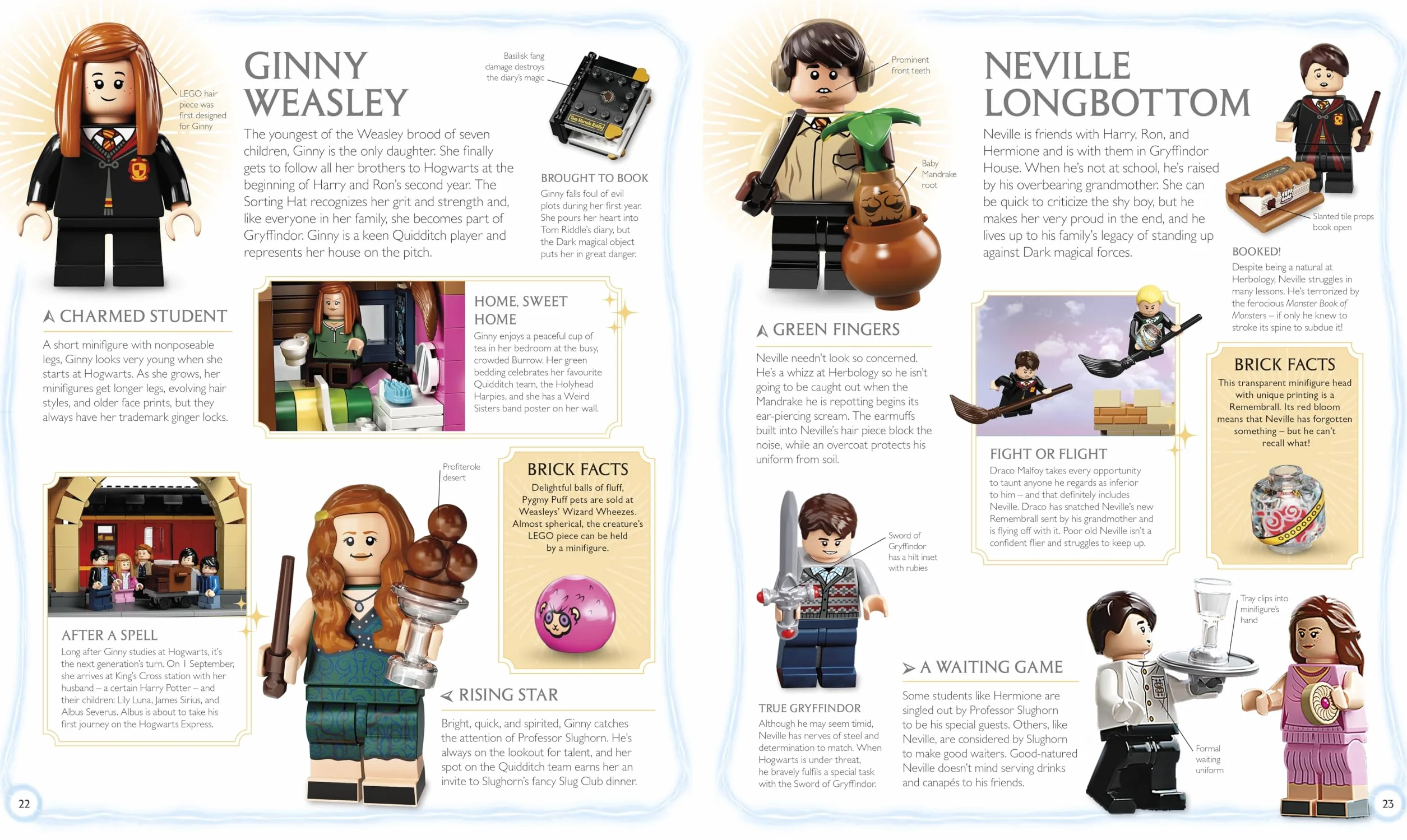 LEGO Harry Potter Visual Dictionary: With Exclusive Minifigure