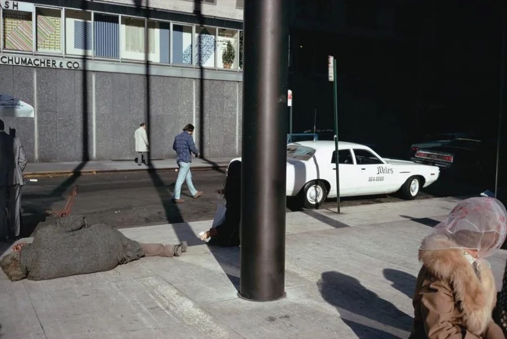The Pleasure of Seeing: Conversations on Joel Meyerowitz's sixty years in the life of photography /a