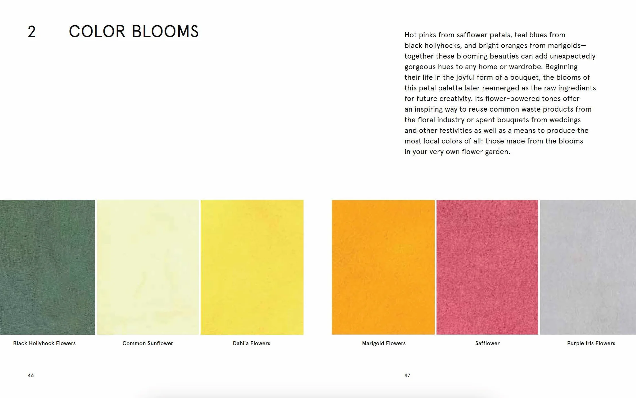 Natural Palettes: Inspiration from Plant-Based Color