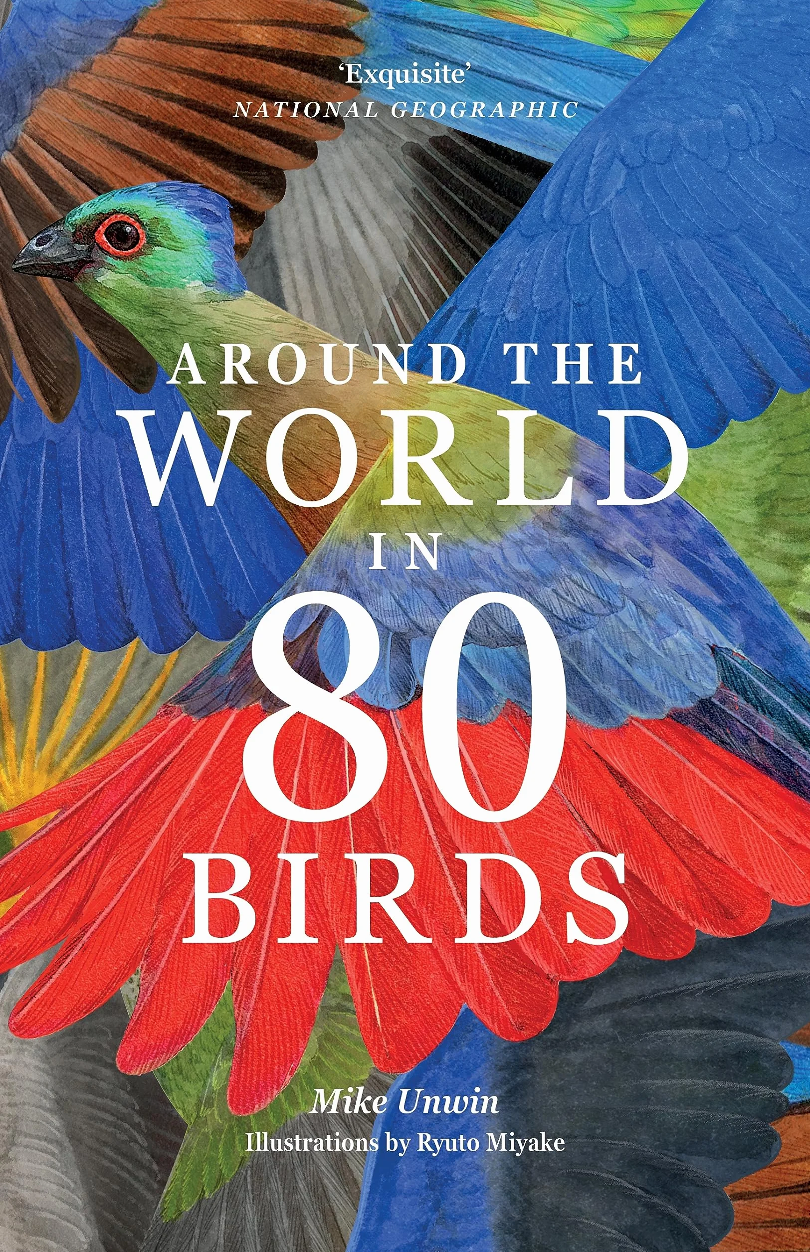 Around the World in 80 Birds: Paperback
