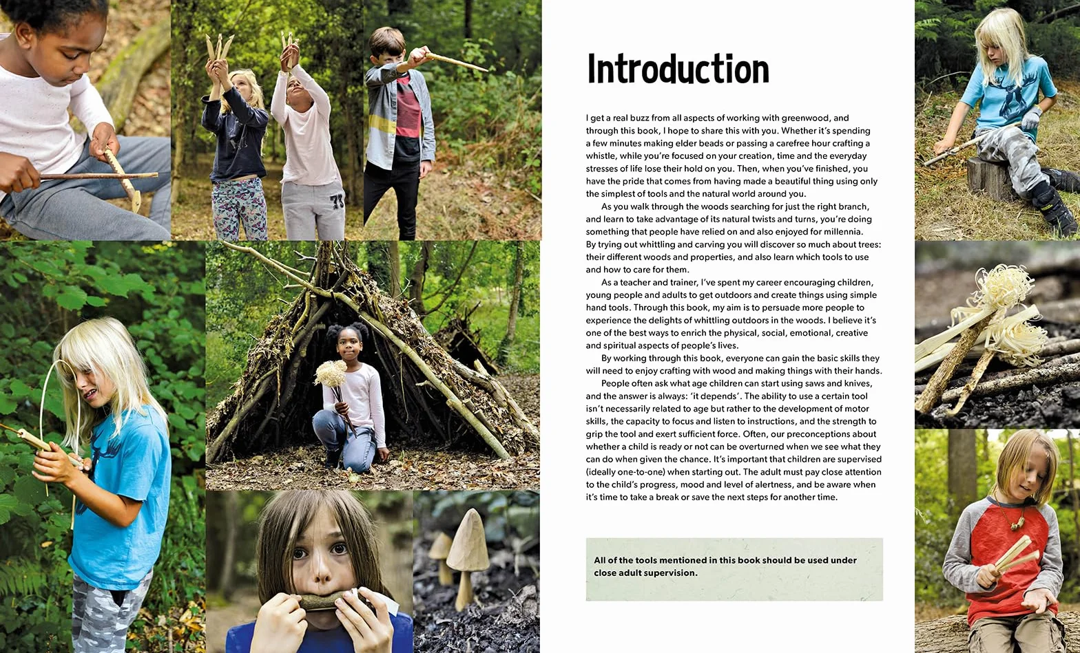 Forest Craft: A Child's Guide to Whittling in the Woodland