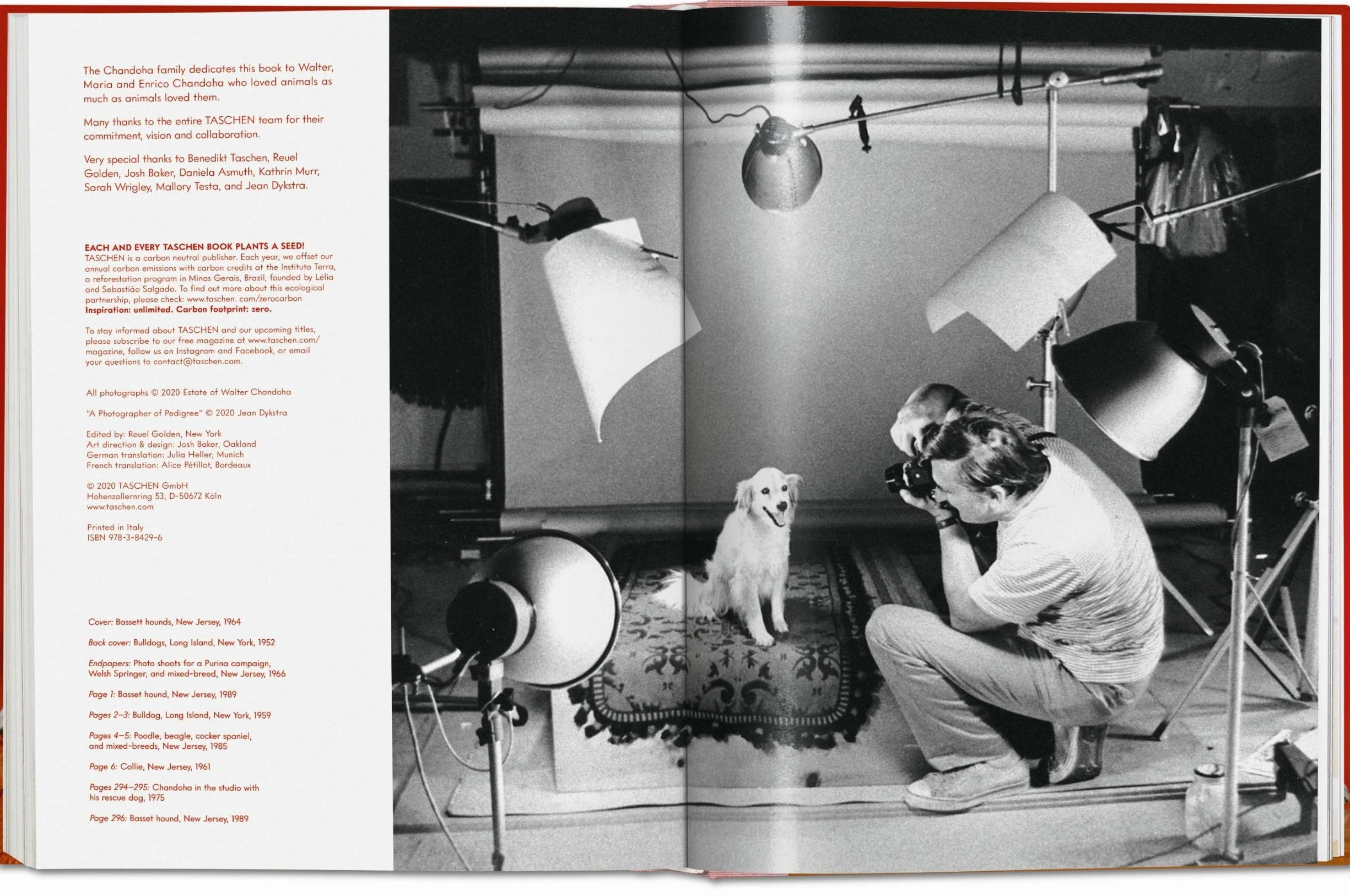 Dogs Photographs 1941–1991