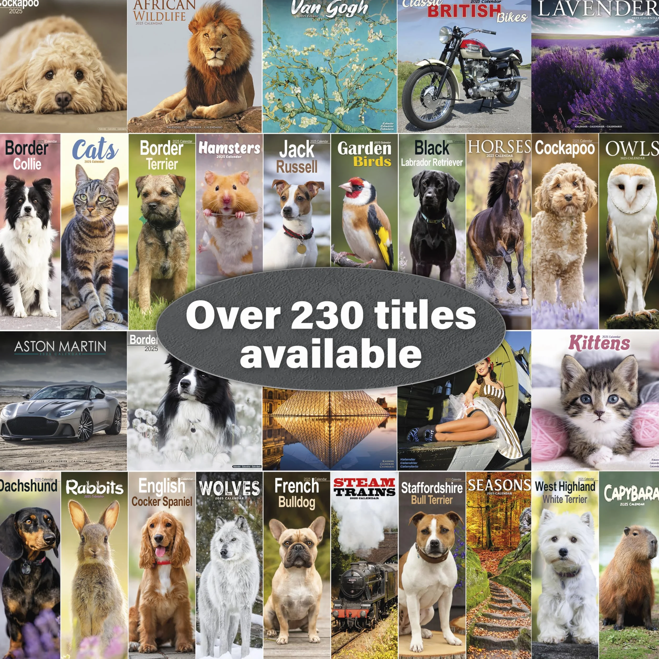 Hamsters Calendar 2025 Square Animal Wall Calendar - 16 Month: Original Avonside-Kalender [Mehrsprachig] [Kalender]