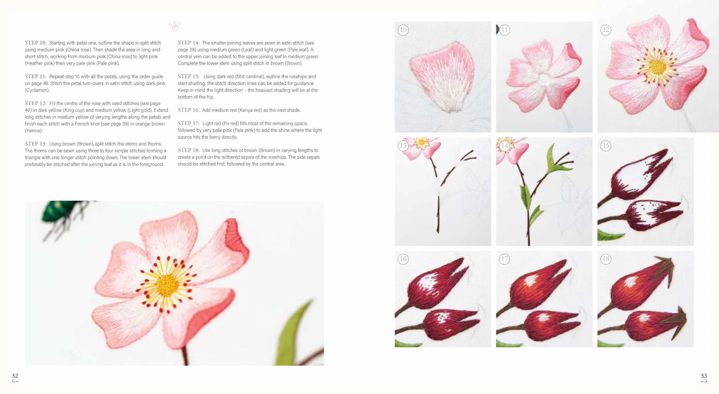 Needlepainted Plants and Pollinators: An Insect Lover's Guide to Silk Shading Embroidery