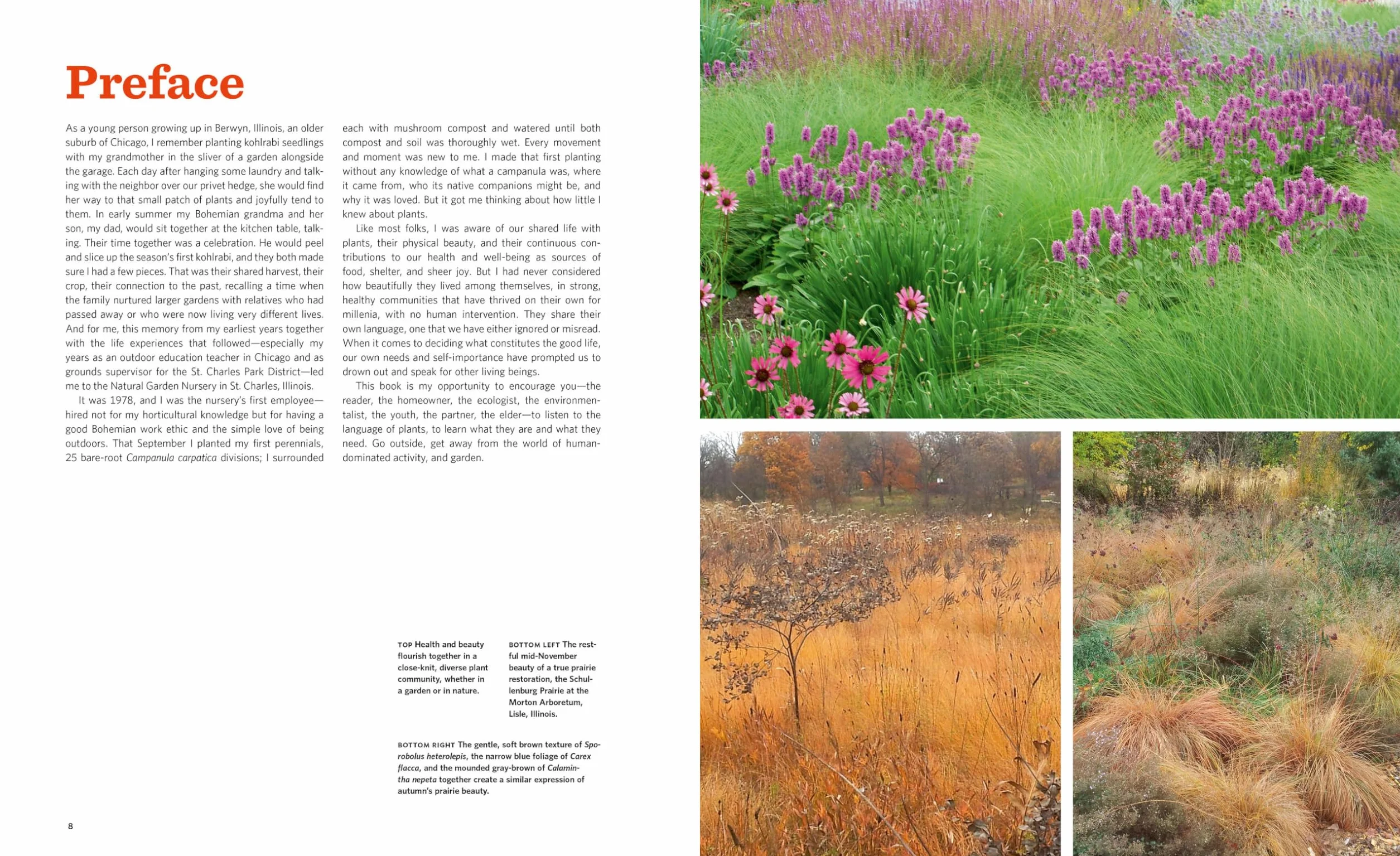 The Know Maintenance Perennial Garden