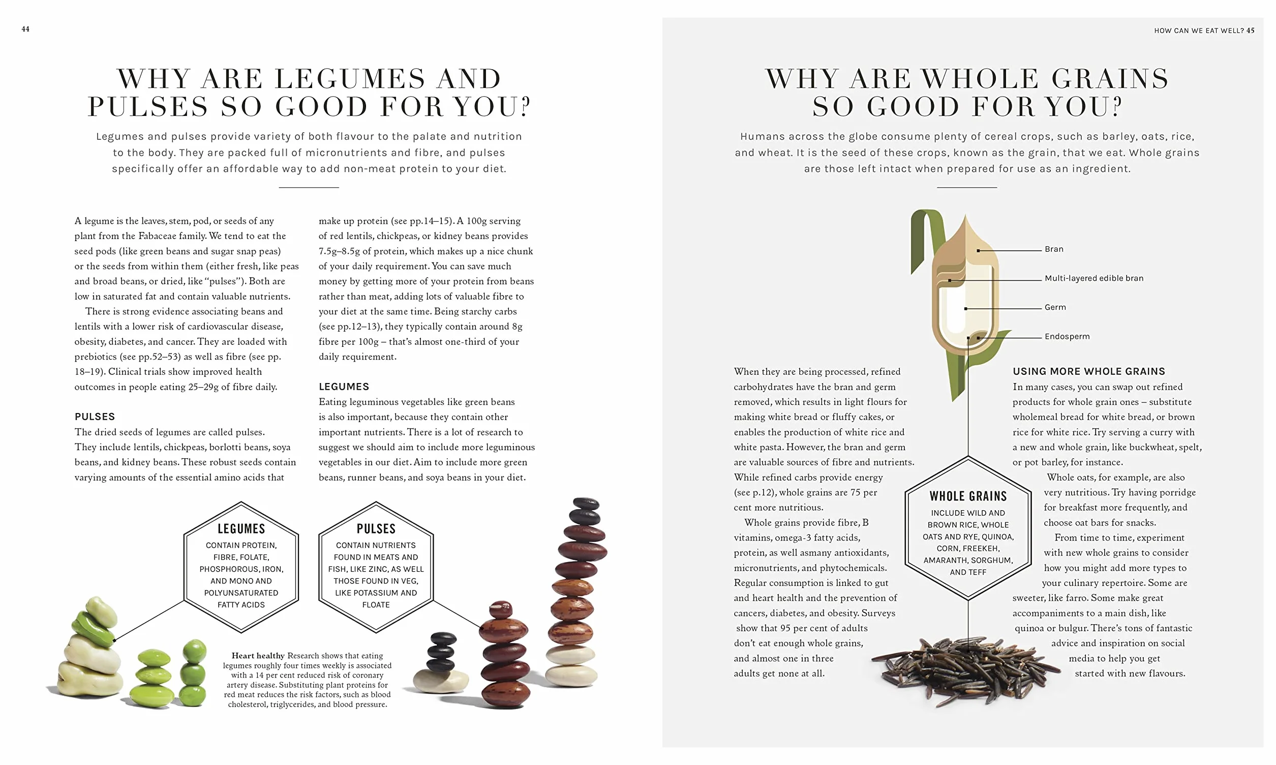 The Science of Nutrition: Debunk Diet Myths, Healthy Eating Guide