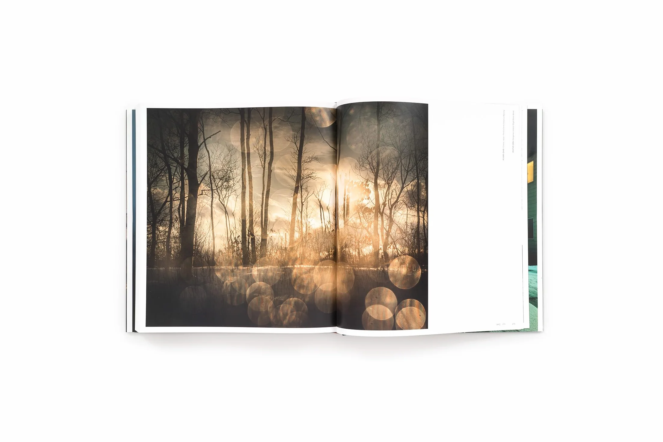 Todd Hido Intimate Distance (new edition) /anglais: Over Thirty Years of Photographs, a Chronological Album