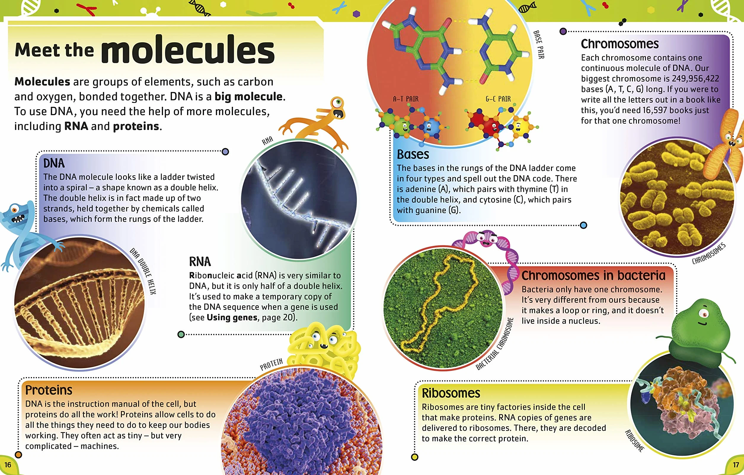The DNA Book: Discover what makes you you (The Science Book)