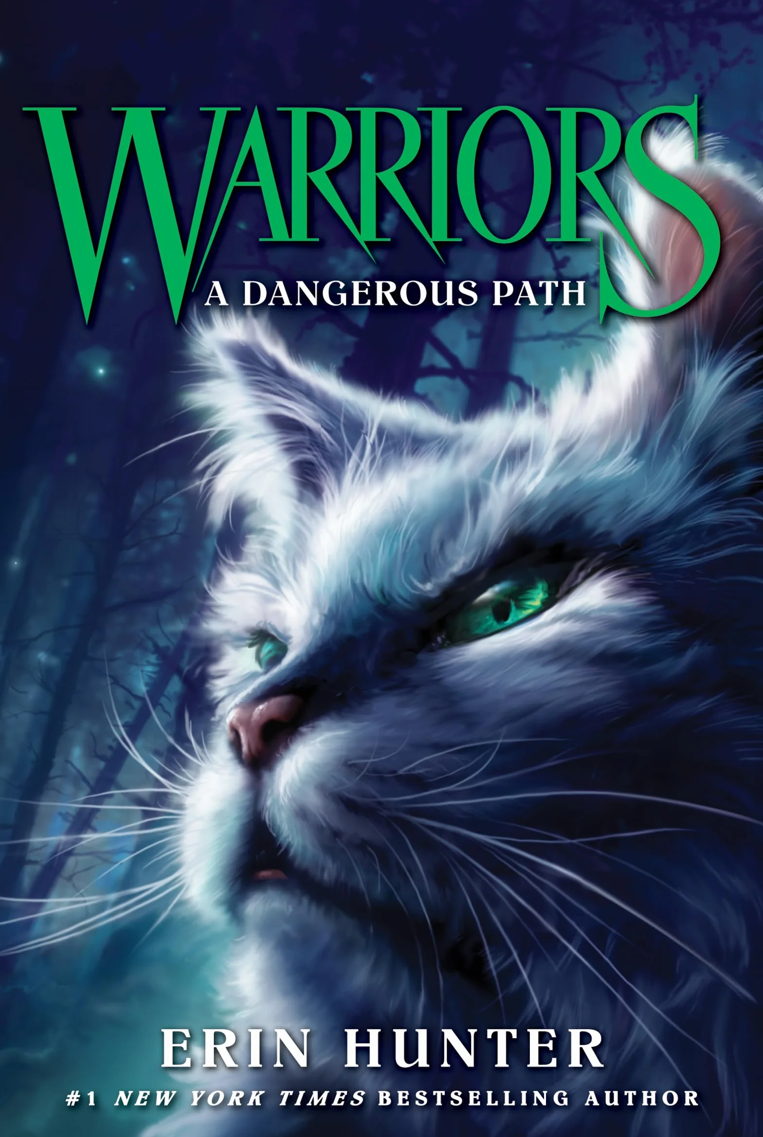 Warriors #5: A Dangerous Path