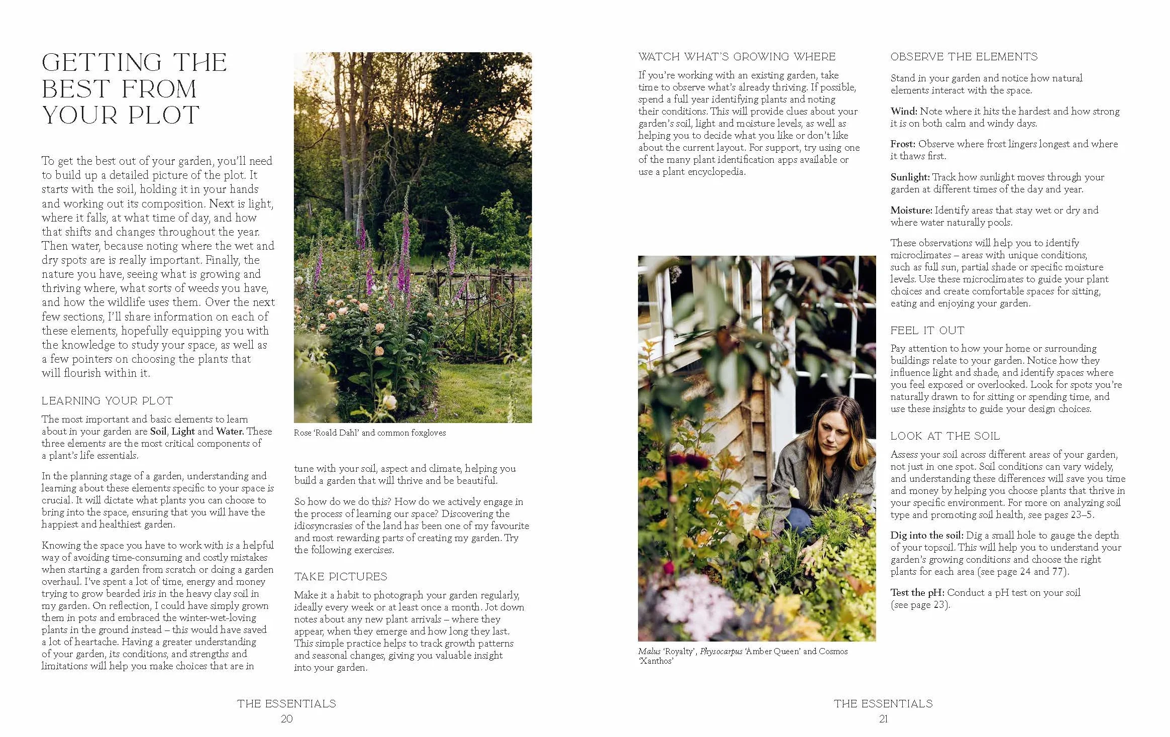 How Does Your Garden Grow?: The Elements of Planning, Growing & Caring for a Garden