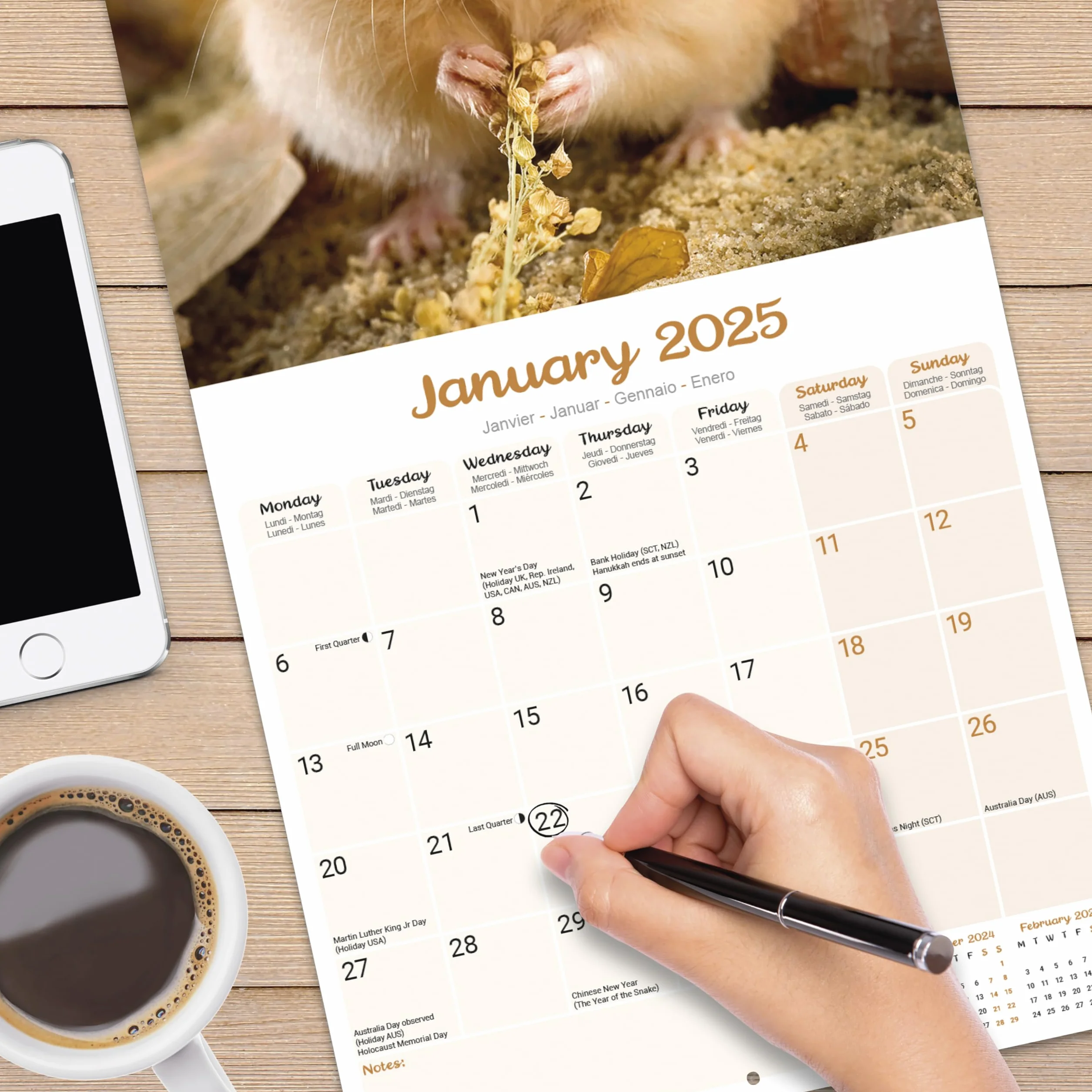 Hamsters Calendar 2025 Square Animal Wall Calendar - 16 Month: Original Avonside-Kalender [Mehrsprachig] [Kalender]